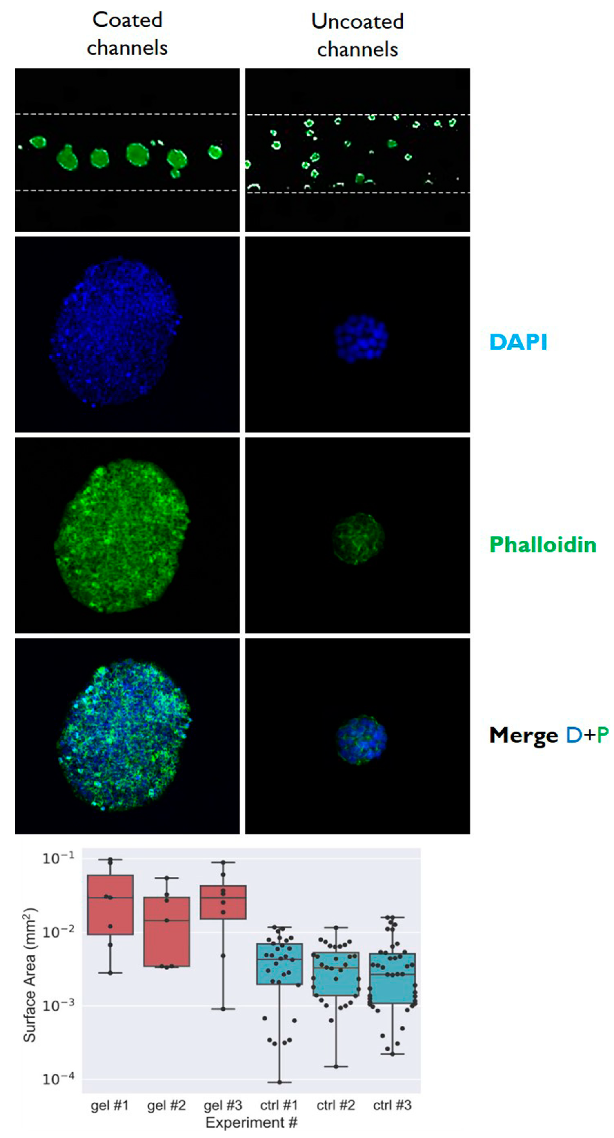 Micromachines 10 00265 g005 Micromachines 10 00265 g005