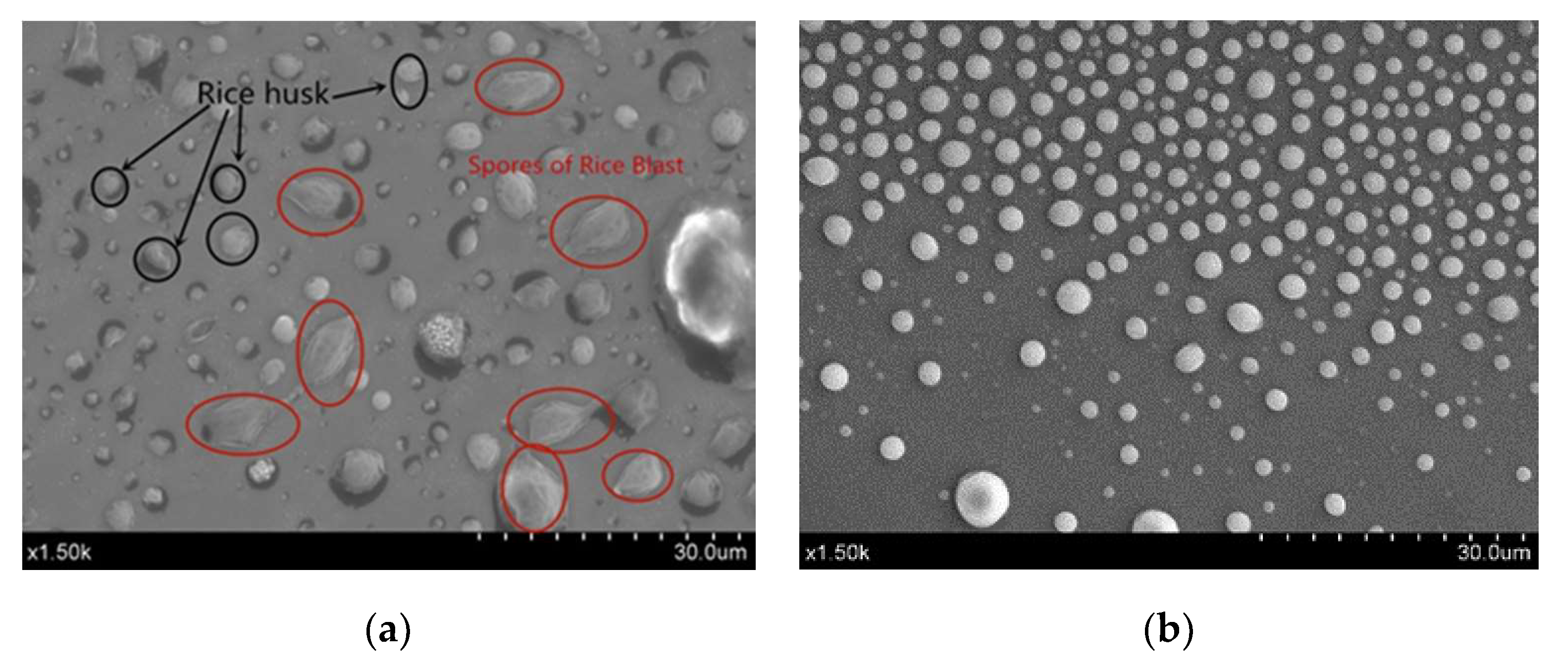 Micromachines 10 00289 g007