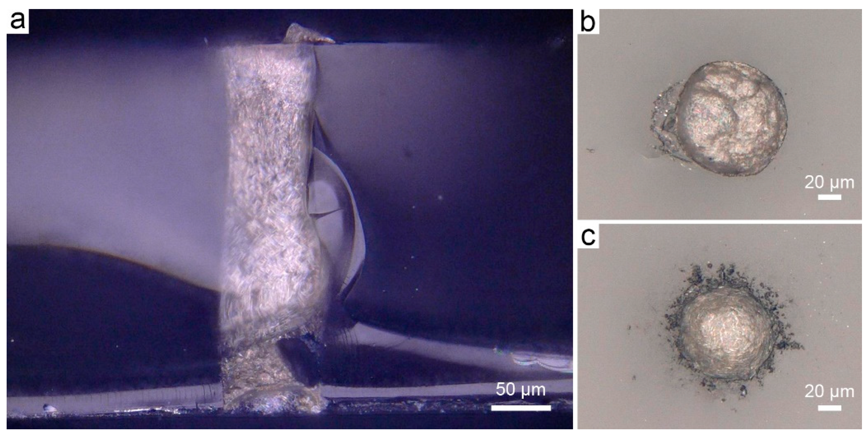 Micromachines 10 00351 g006