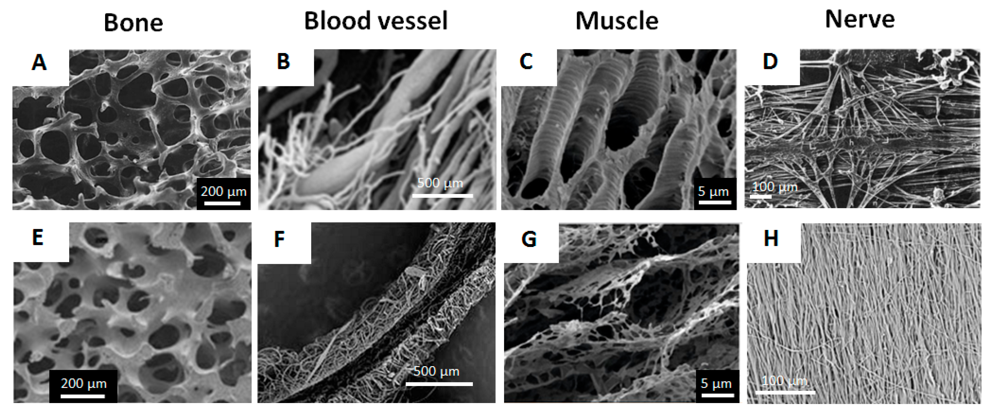 Micromachines 10 00357 g001