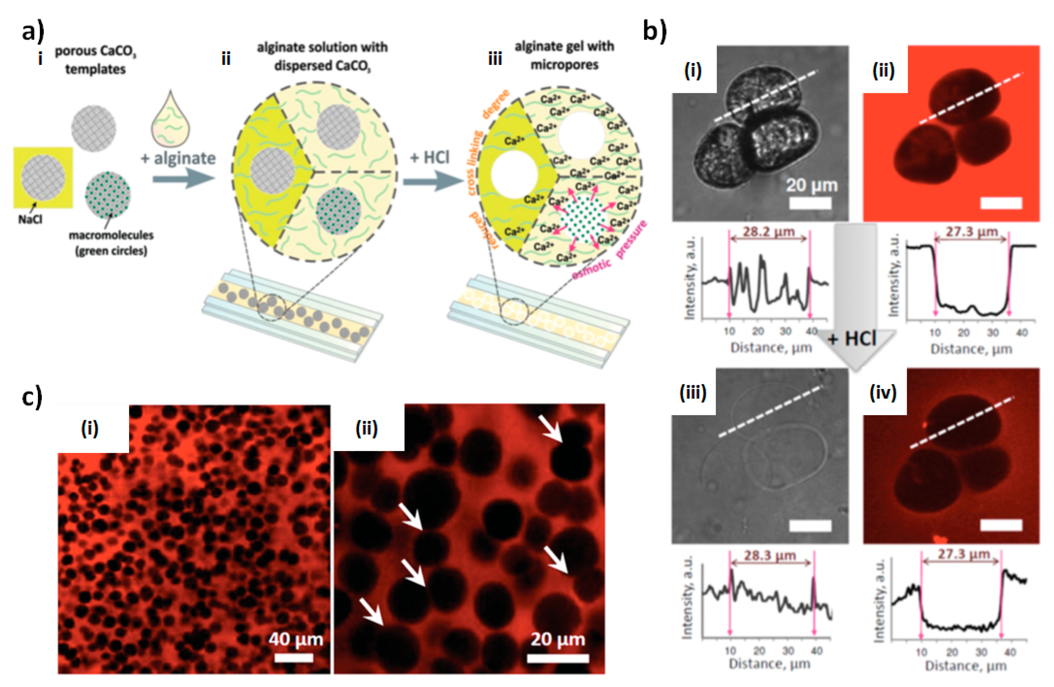 Micromachines 10 00357 g005