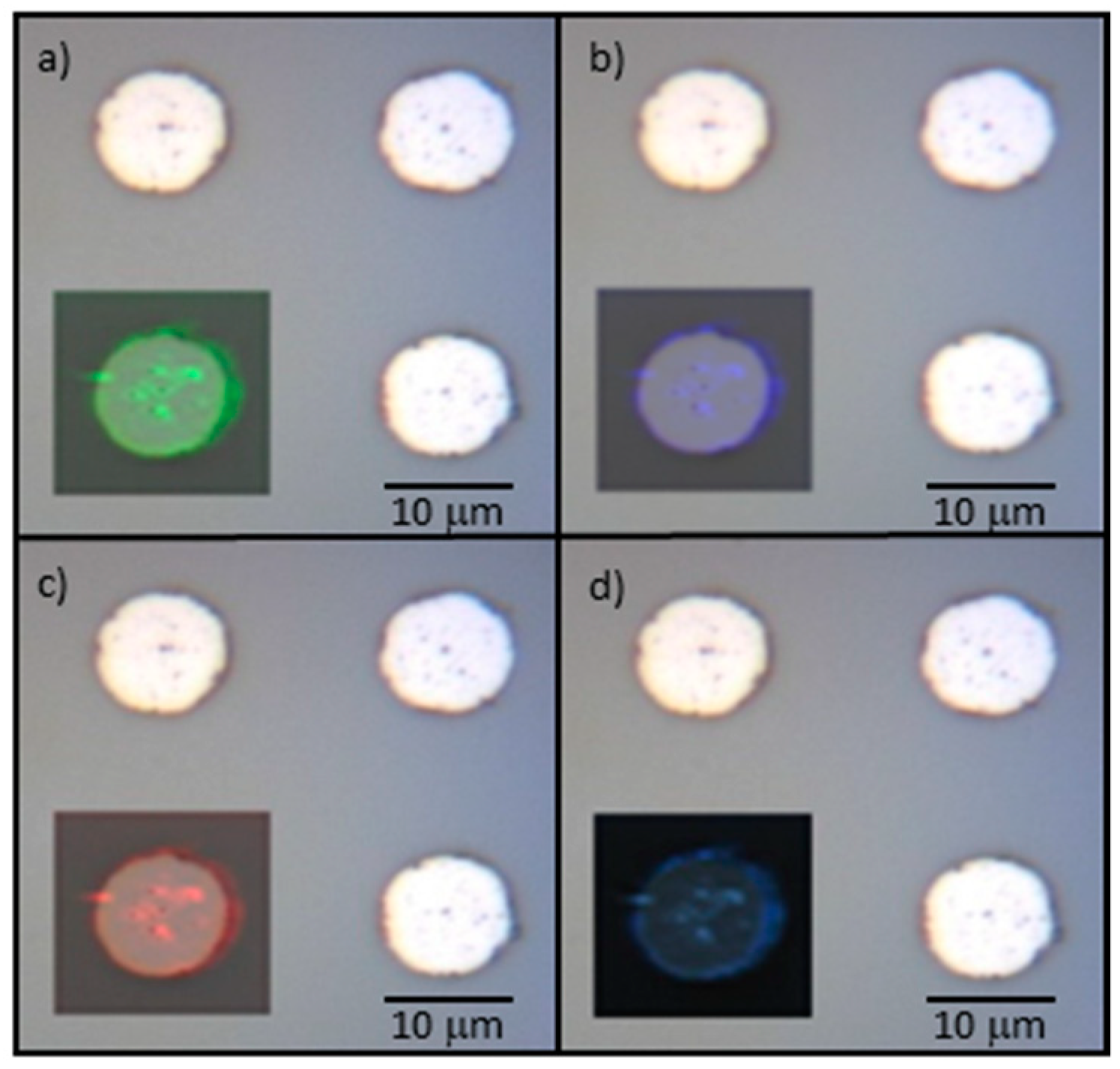 Micromachines 10 00426 g008