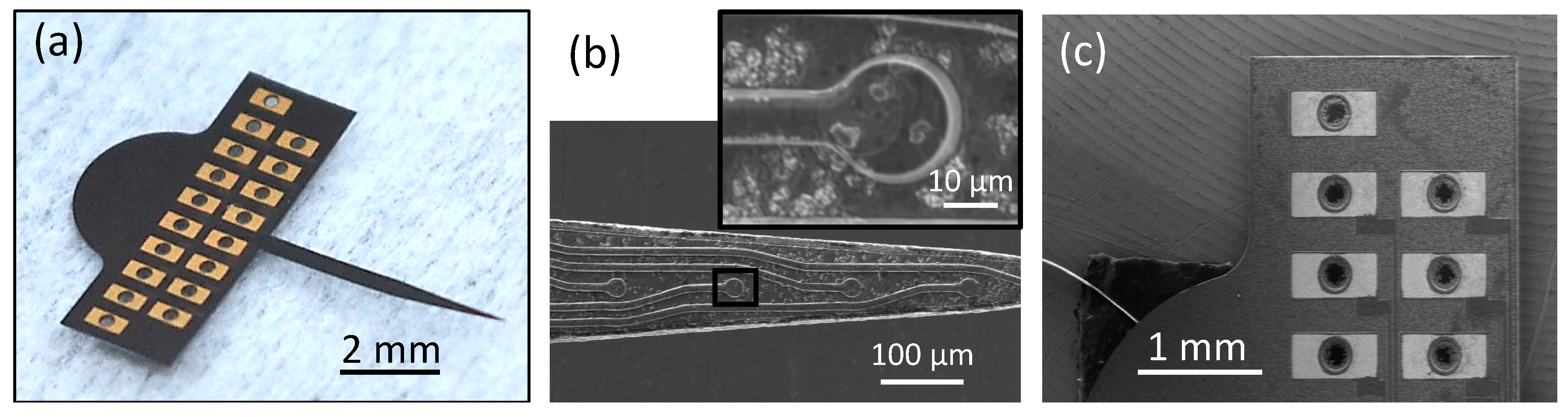 Micromachines 10 00430 g003 Micromachines 10 00430 g003