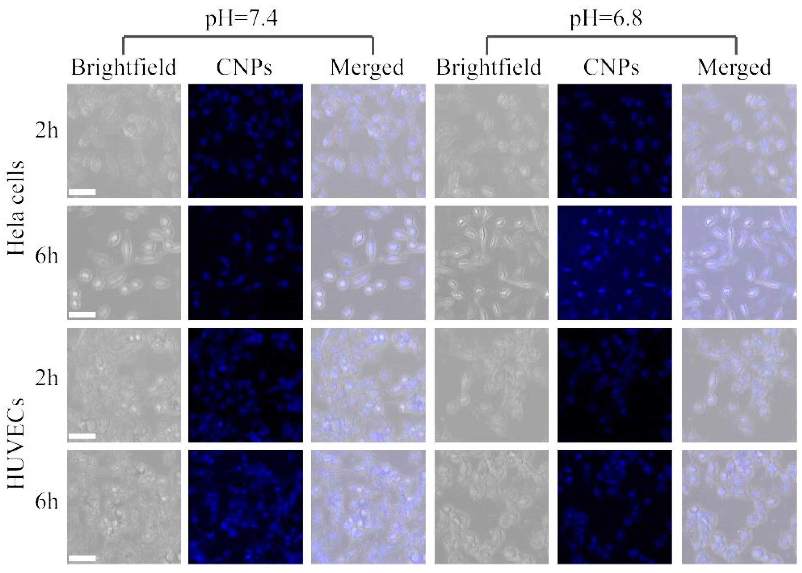 Micromachines 10 00568 g005