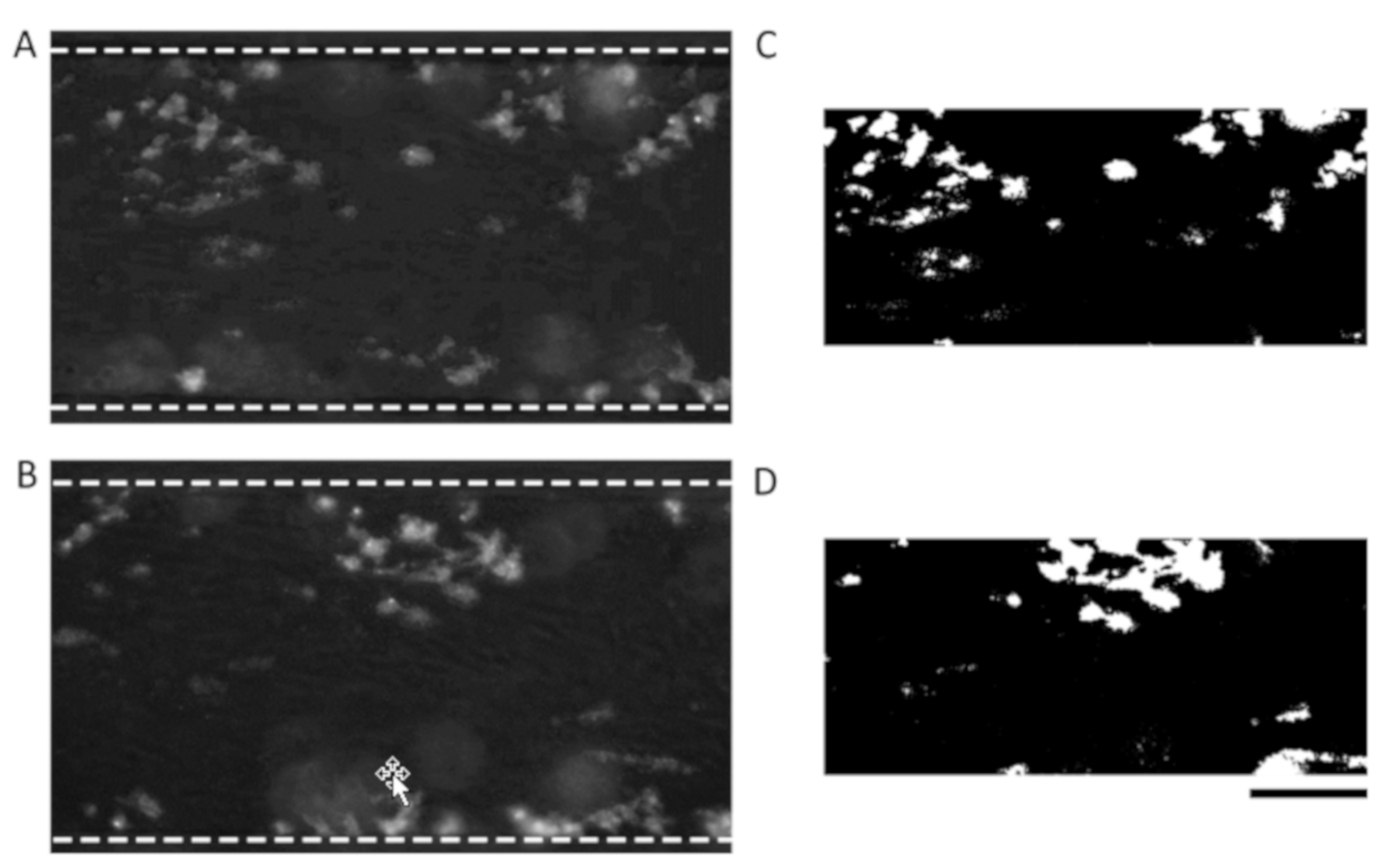Micromachines 10 00781 g0a3