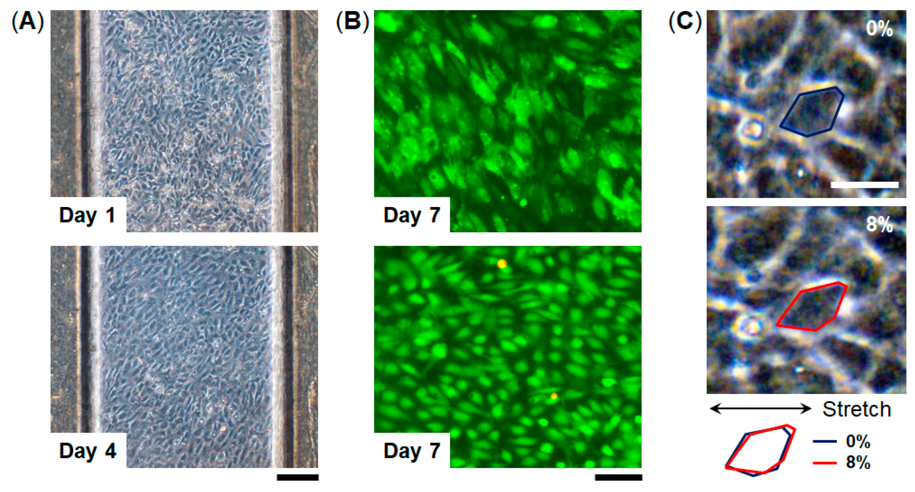 Micromachines 10 00793 g004