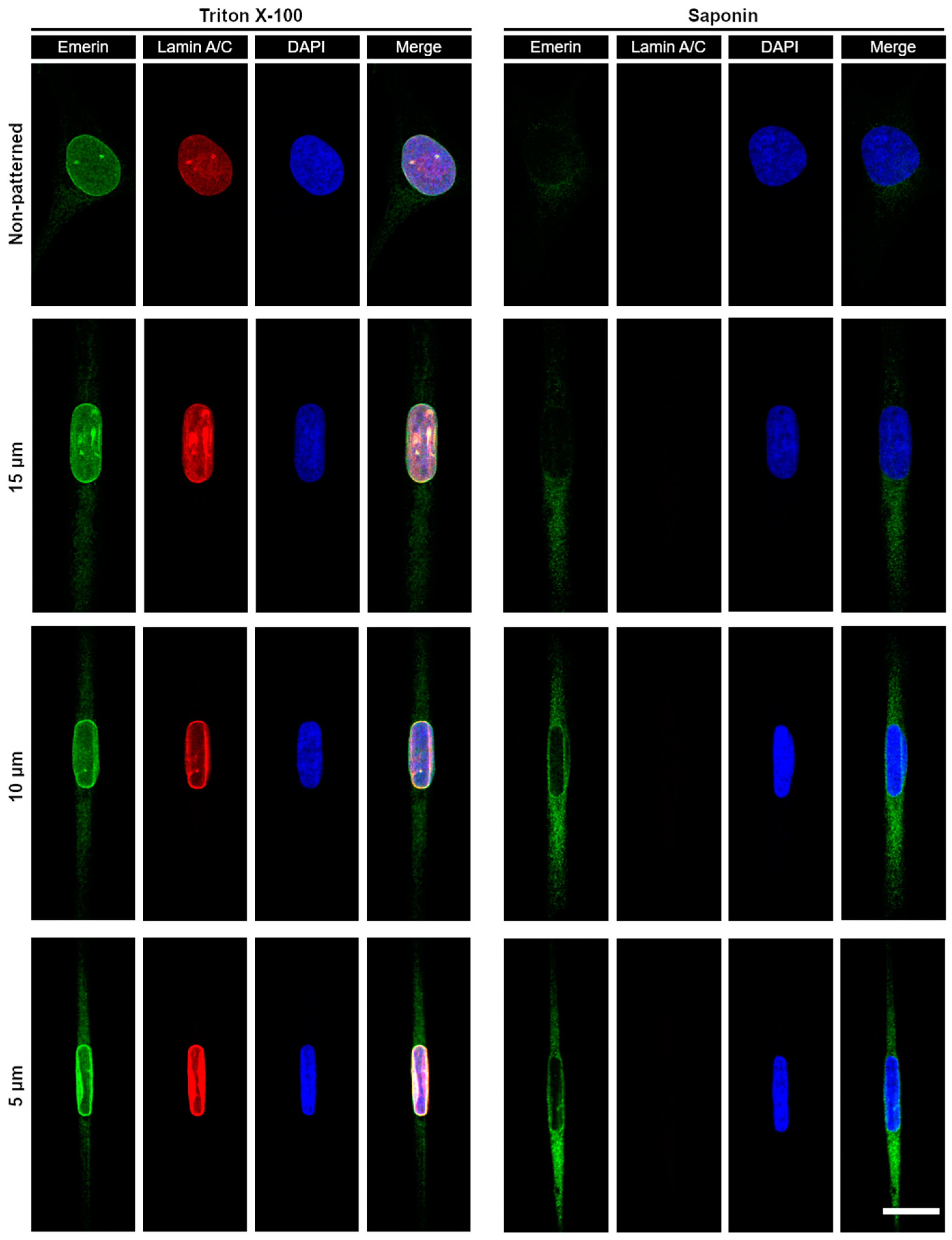 Micromachines 10 00810 g005