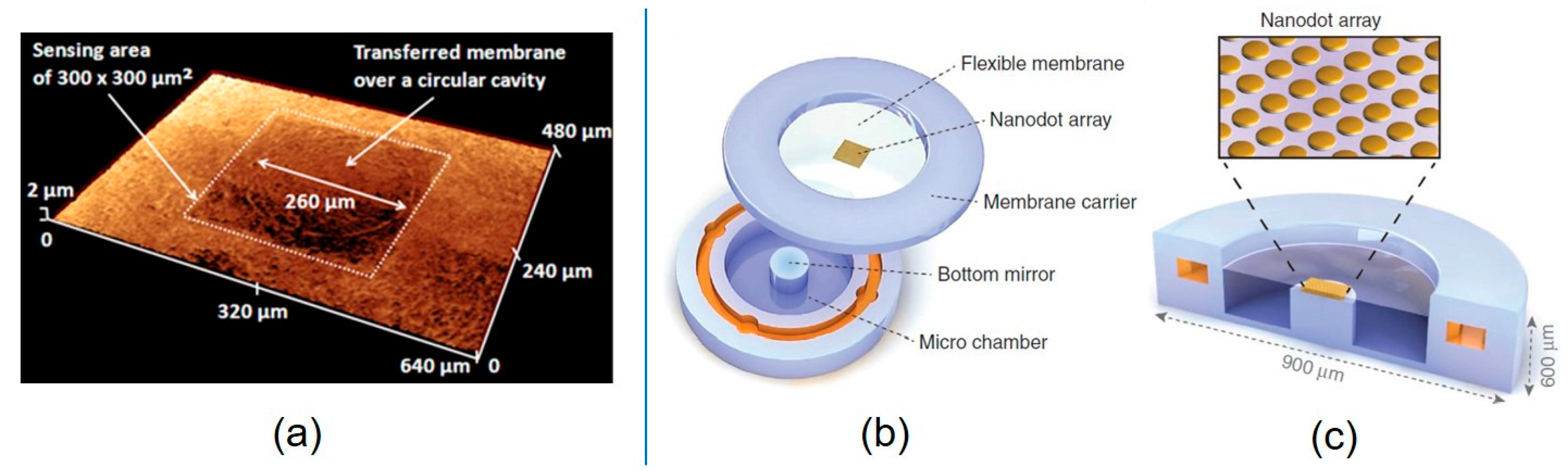 Micromachines 11 00056 g010