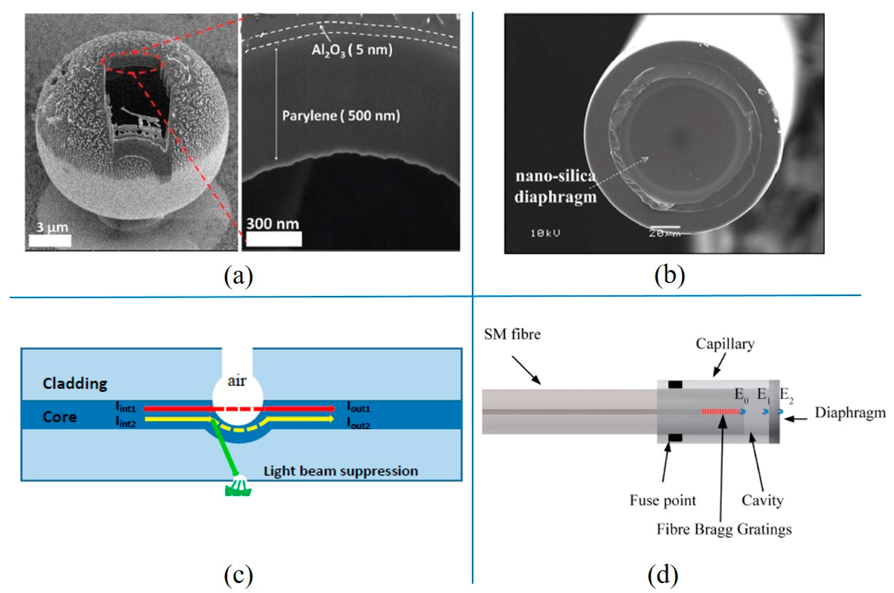 Micromachines 11 00056 g013