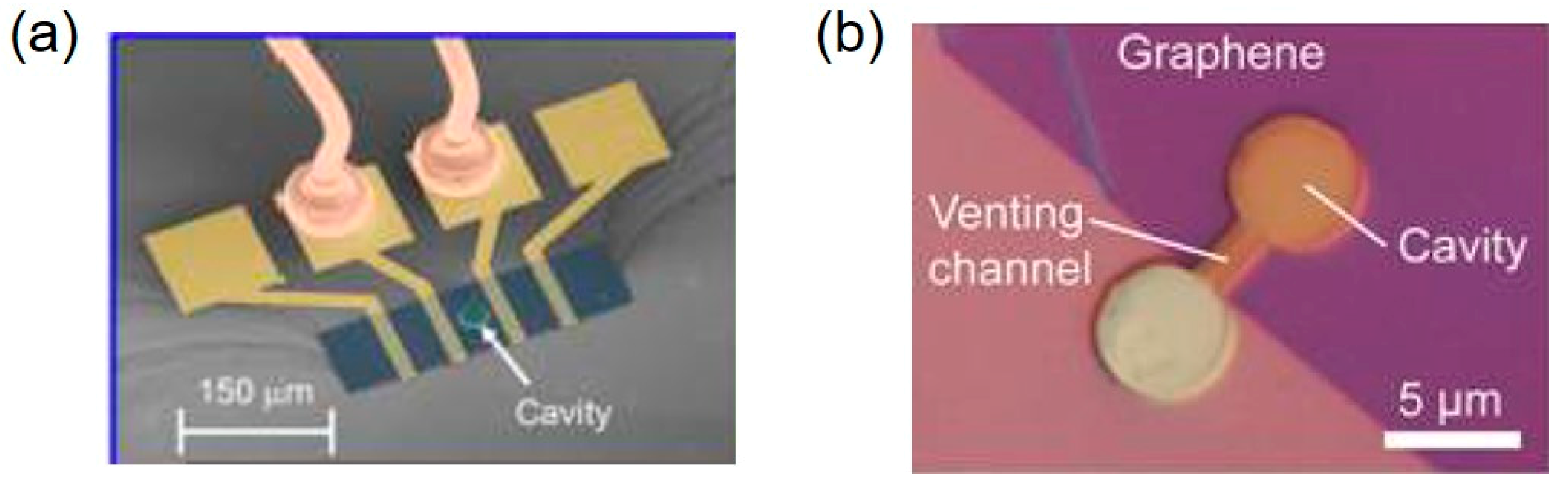 Micromachines 11 00056 g016