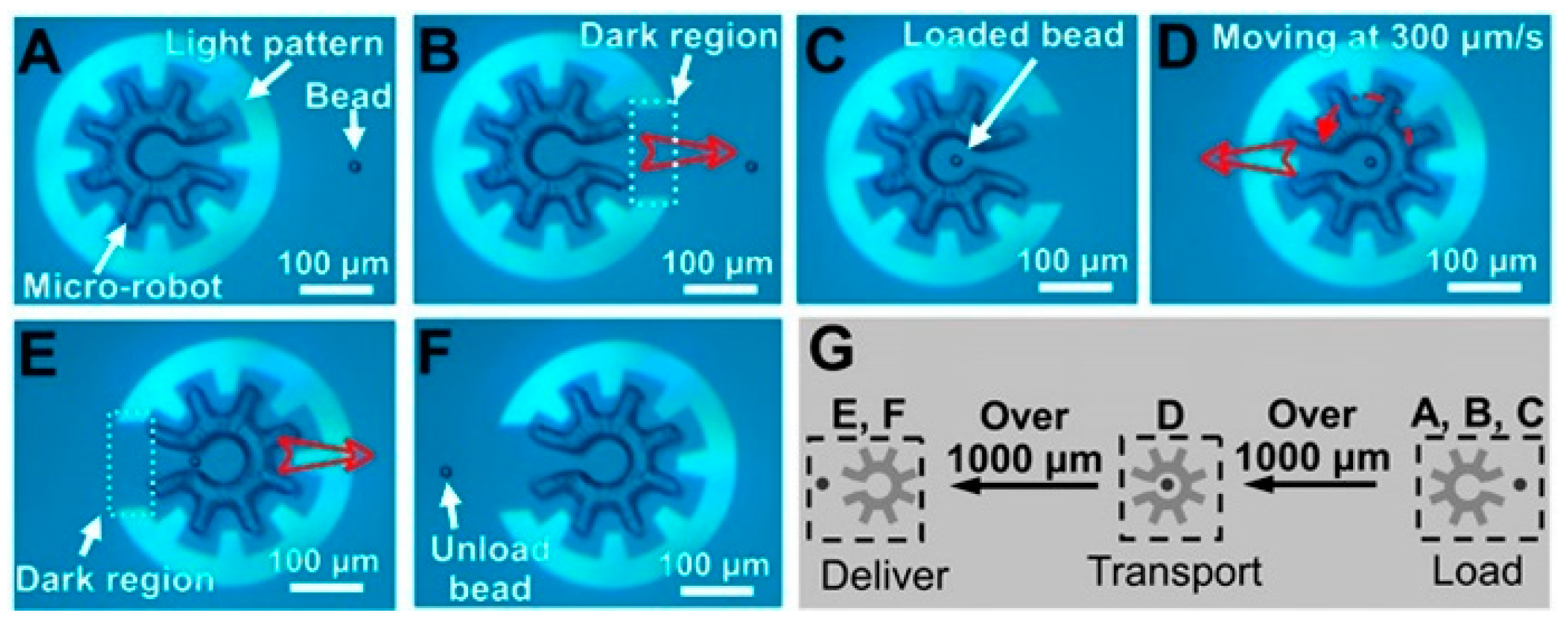 Micromachines 11 00078 g008