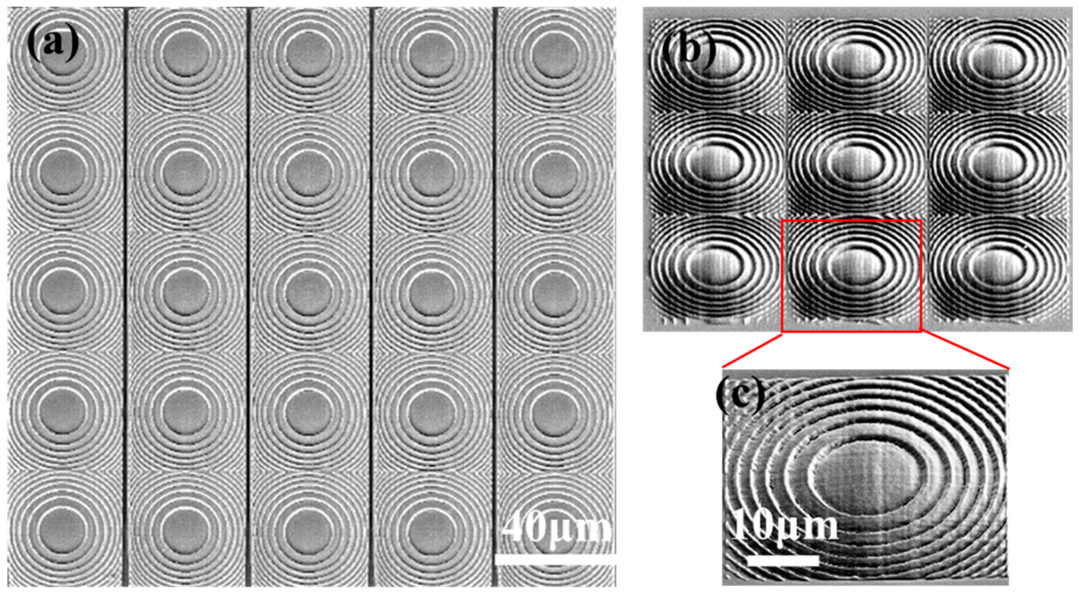 Micromachines | Free Full-Text | Rapid Fabrication of Continuous Surface Fresnel  Microlens Array by Femtosecond Laser Focal Field Engineering