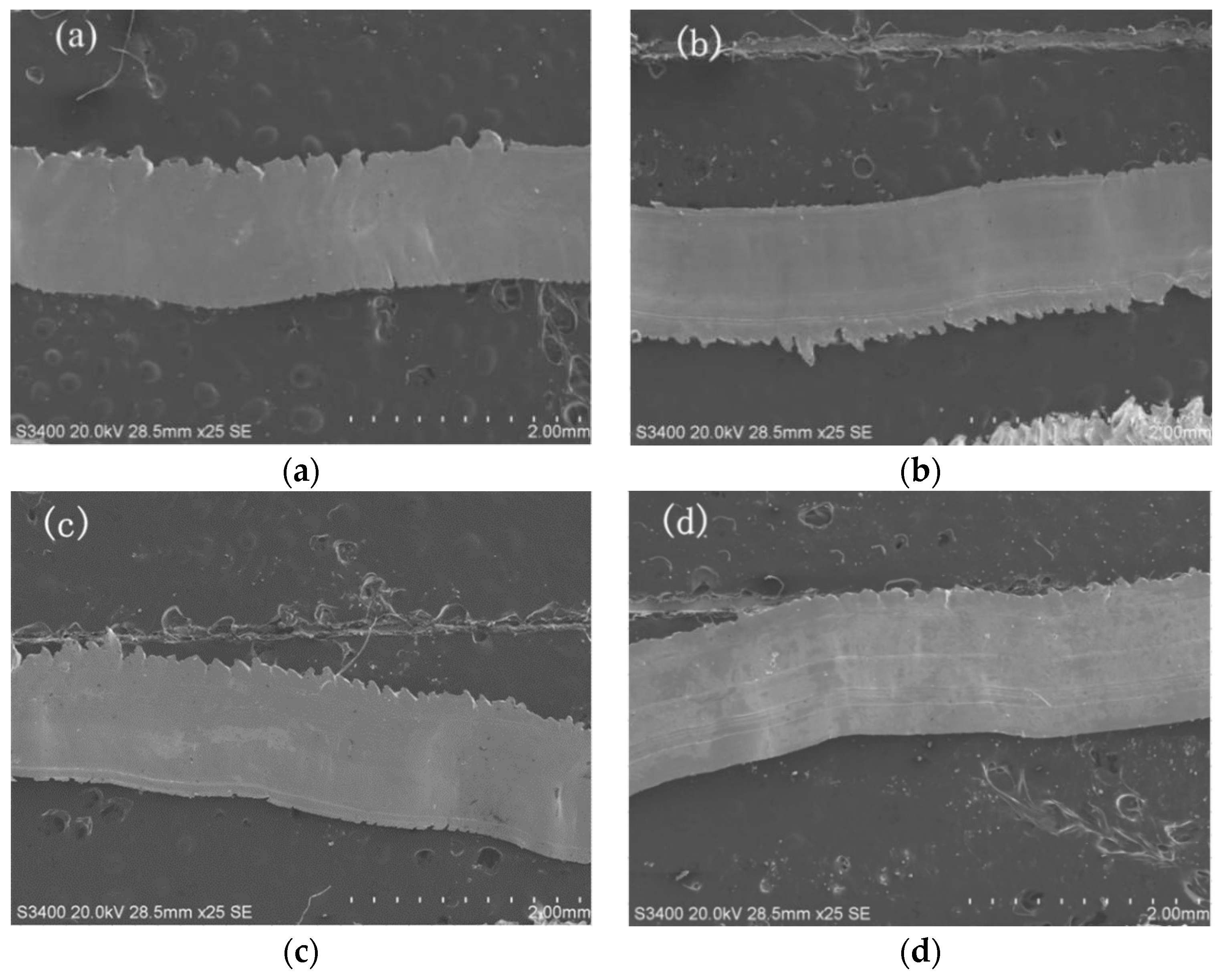 Micromachines 11 00137 g004