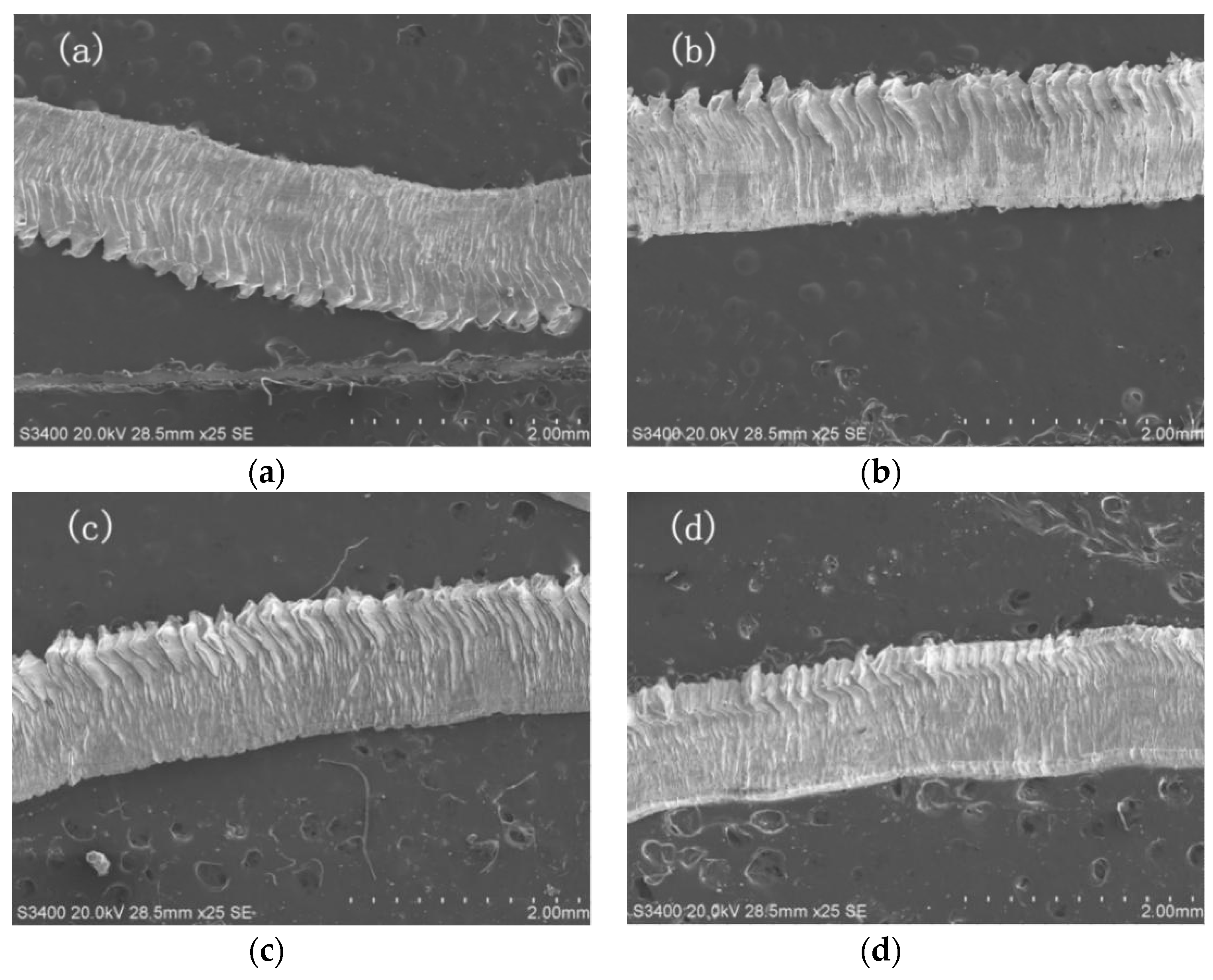 Micromachines 11 00137 g005