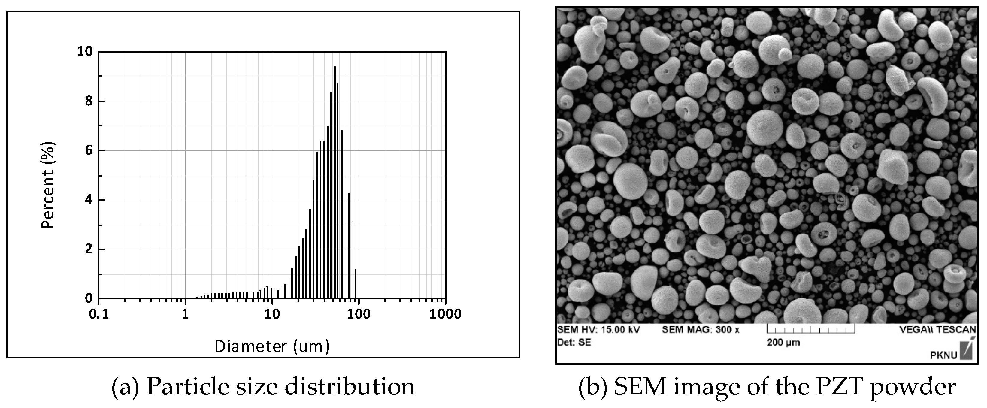 Micromachines 11 00144 g001