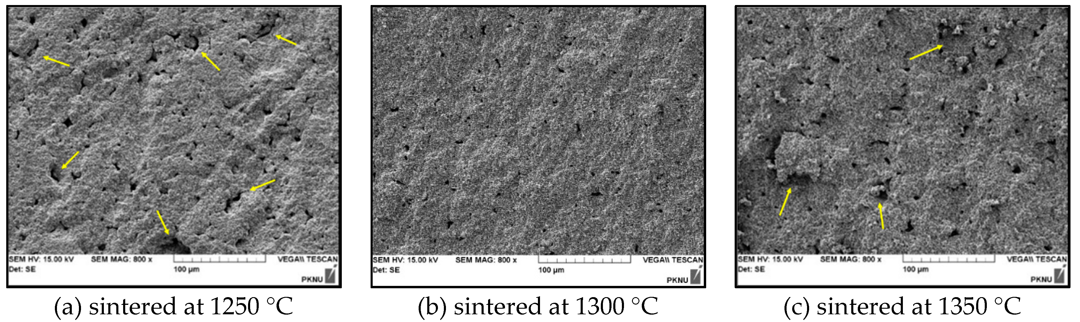 Micromachines 11 00144 g006