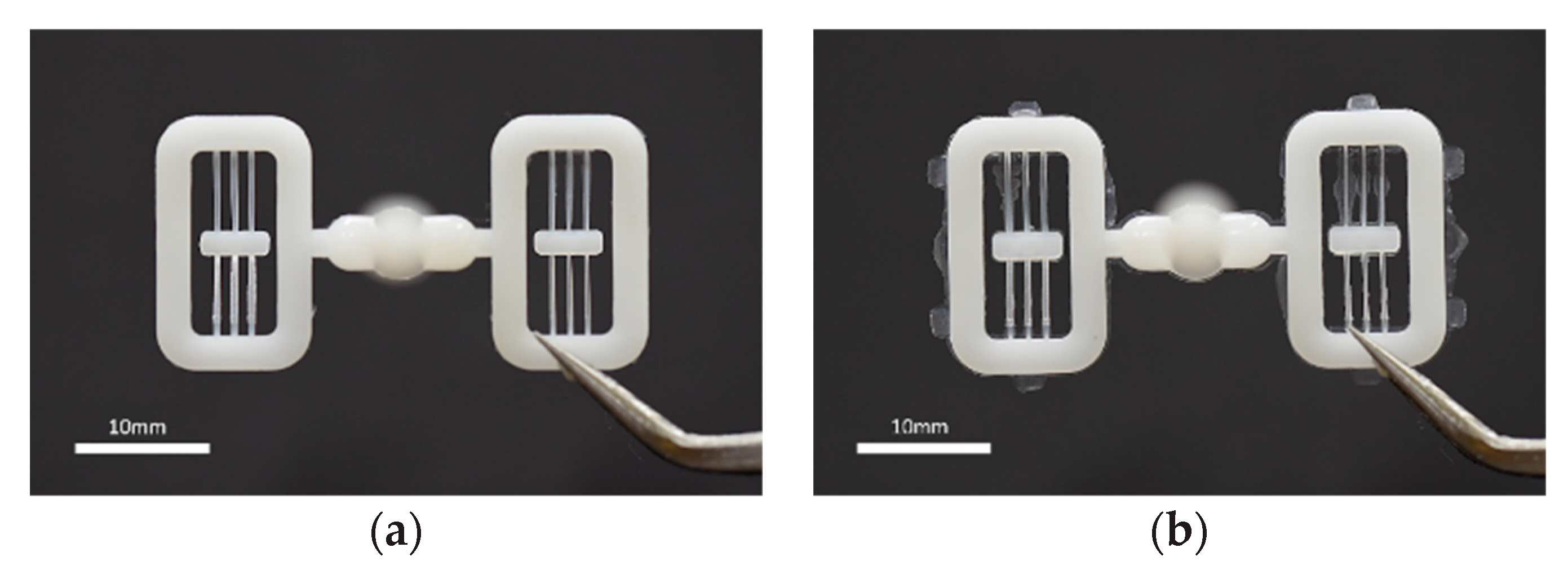 Micromachines 11 00155 g009
