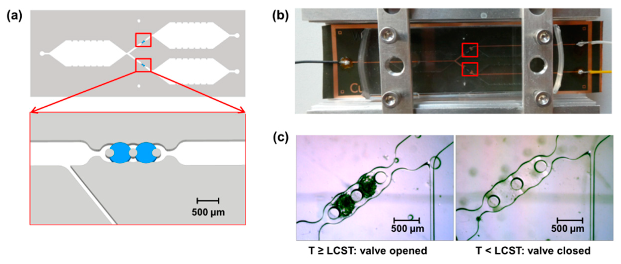 Micromachines | Free Full-Text | Hydrogel Microvalves As Control ...