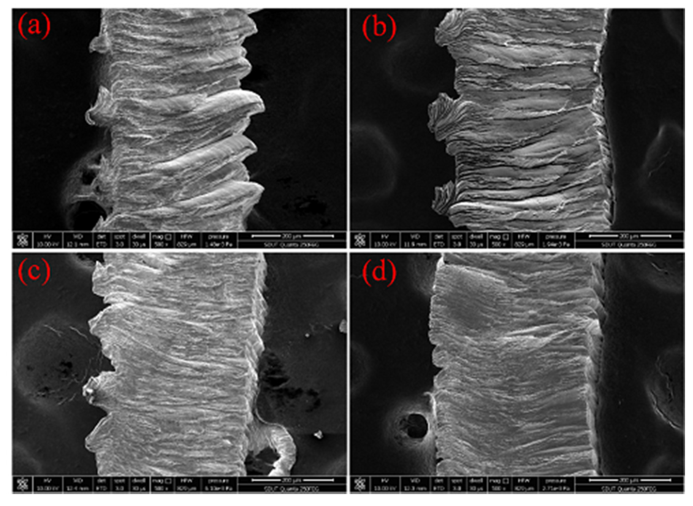 Micromachines 11 00168 g007