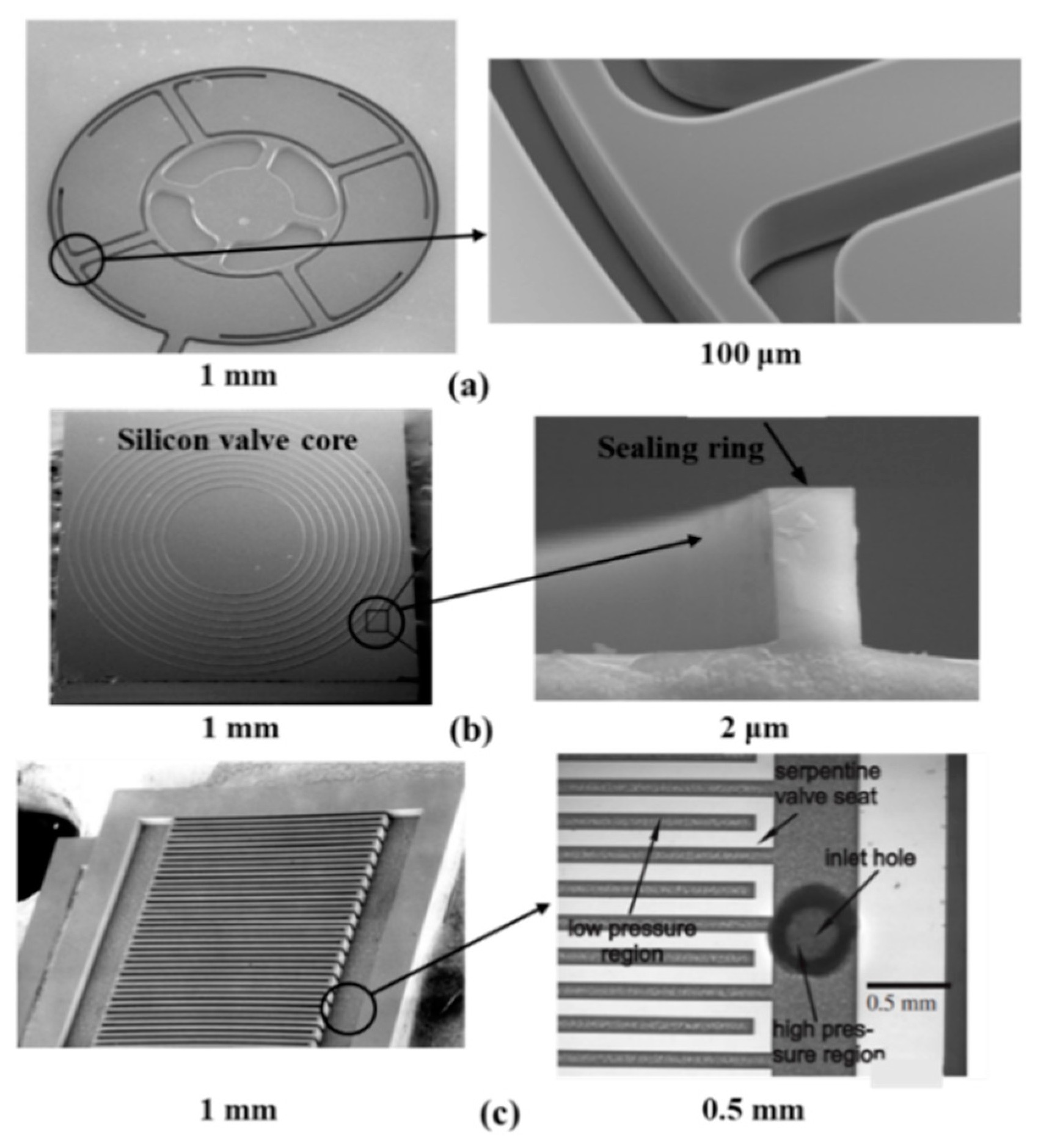Micromachines 11 00172 g005