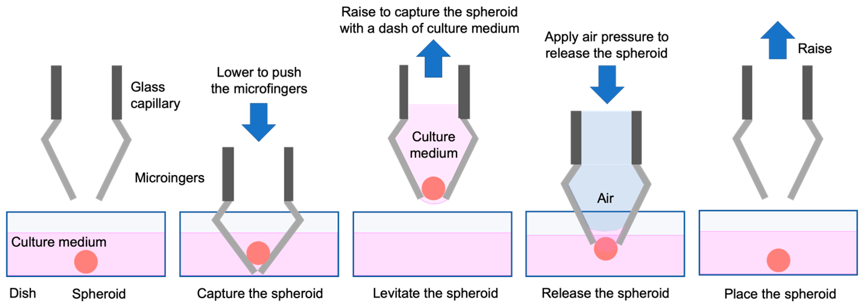 Micromachines 11 00174 g008