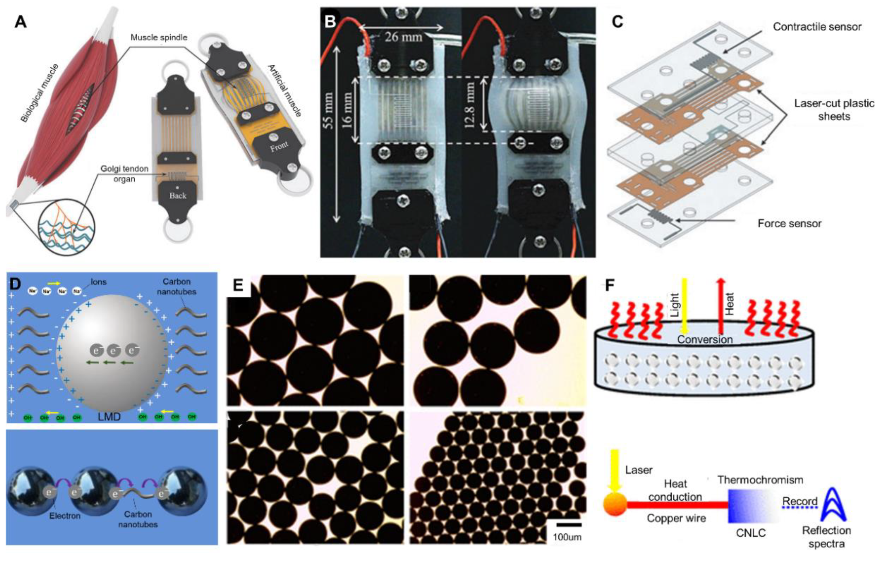 Micromachines 11 00200 g011