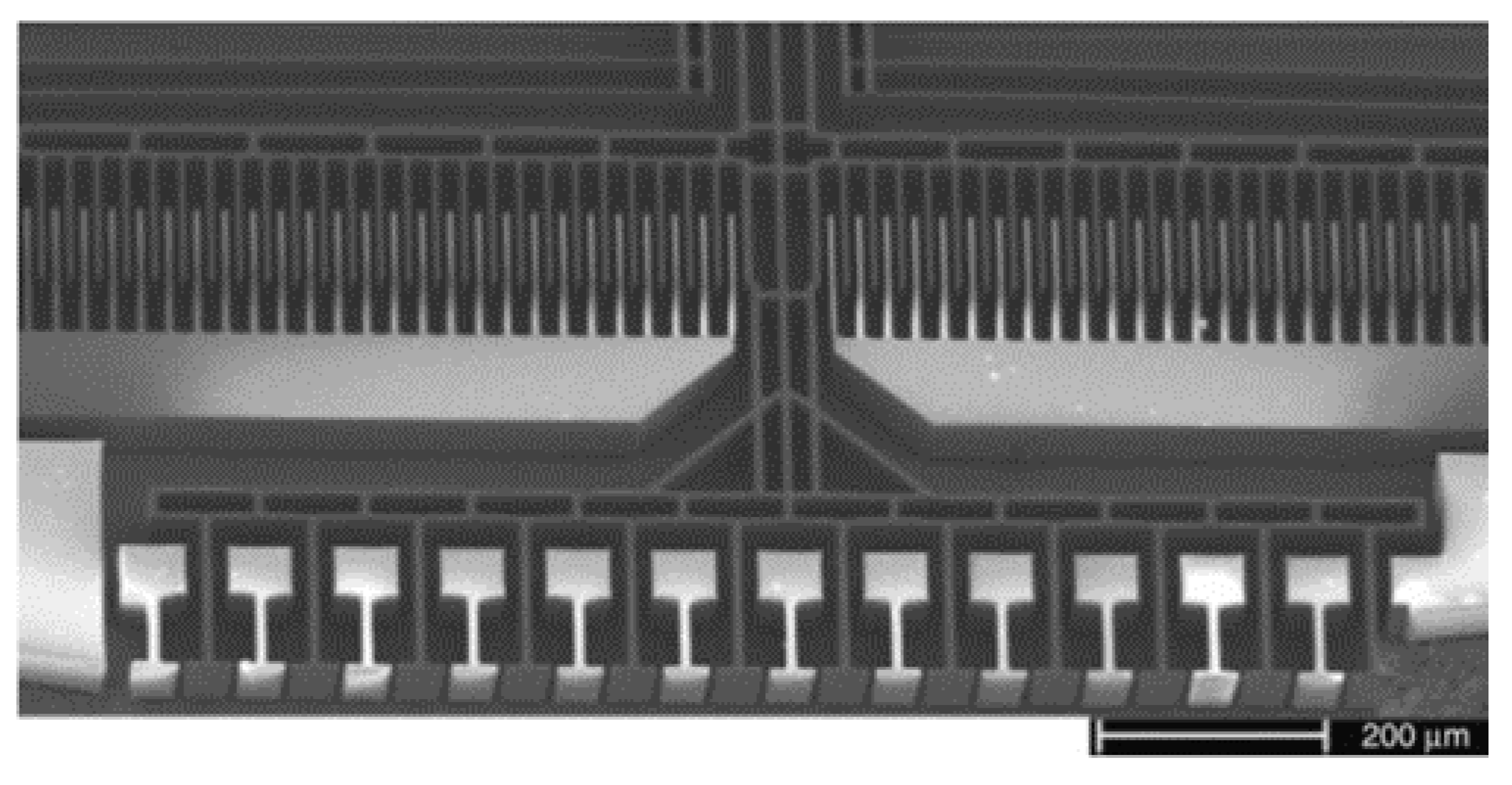 Micromachines 11 00214 g005 Micromachines 11 00214 g005