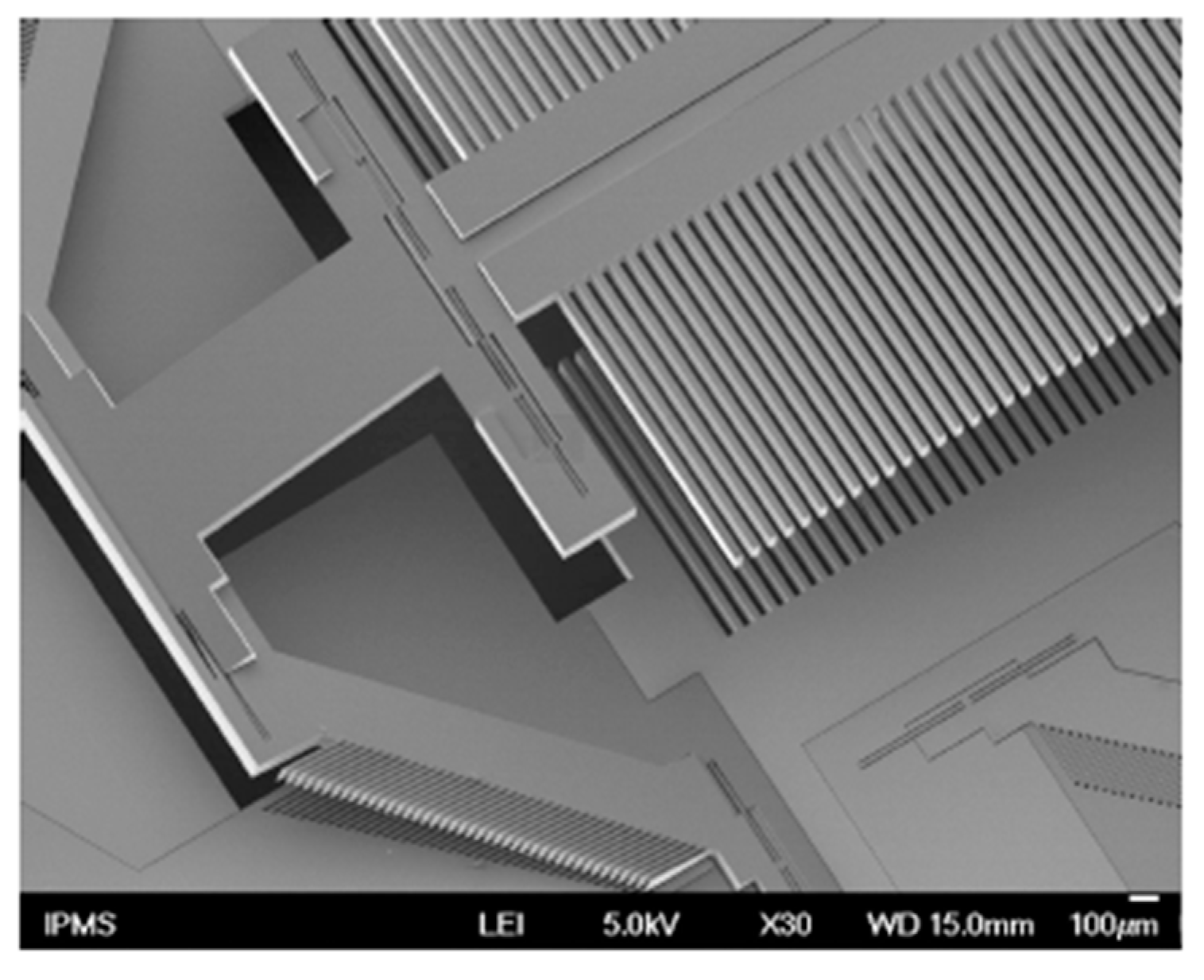 Micromachines 11 00214 g017 Micromachines 11 00214 g017