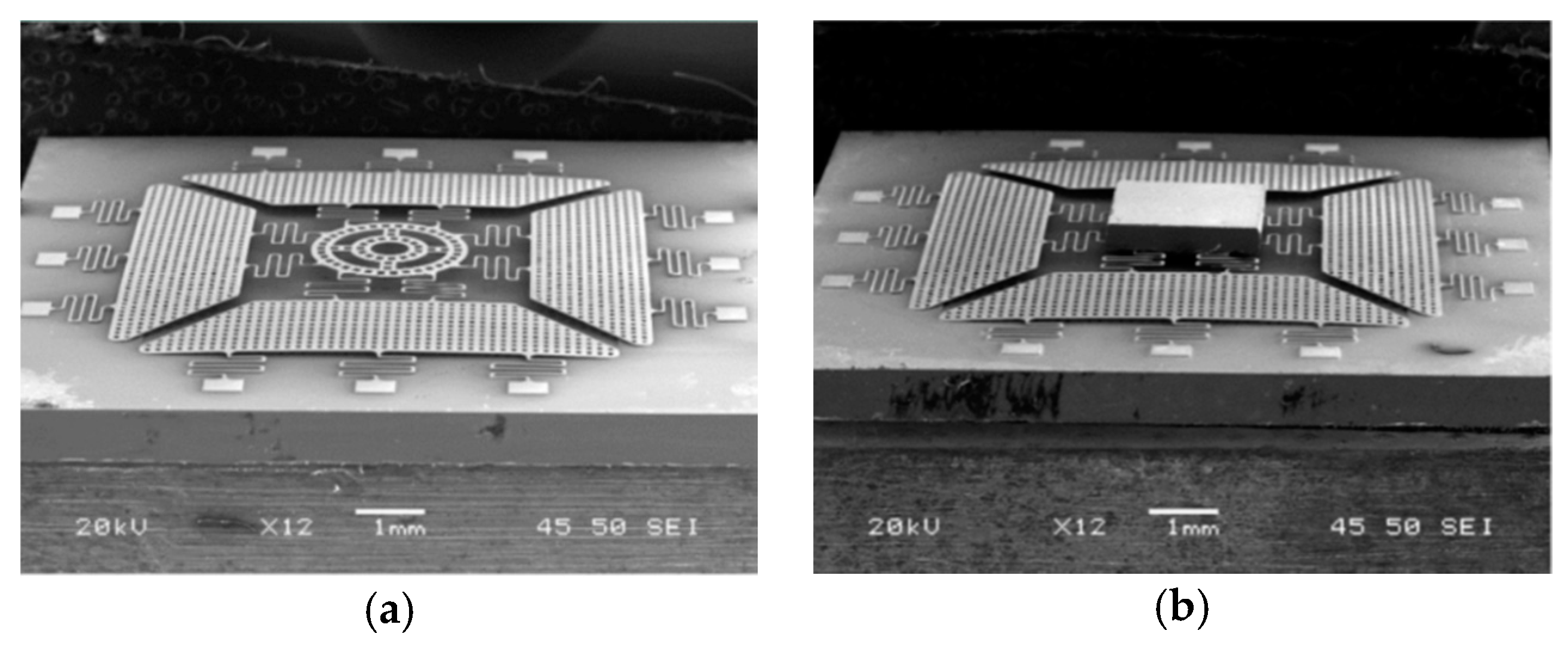 Micromachines 11 00214 g023 Micromachines 11 00214 g023