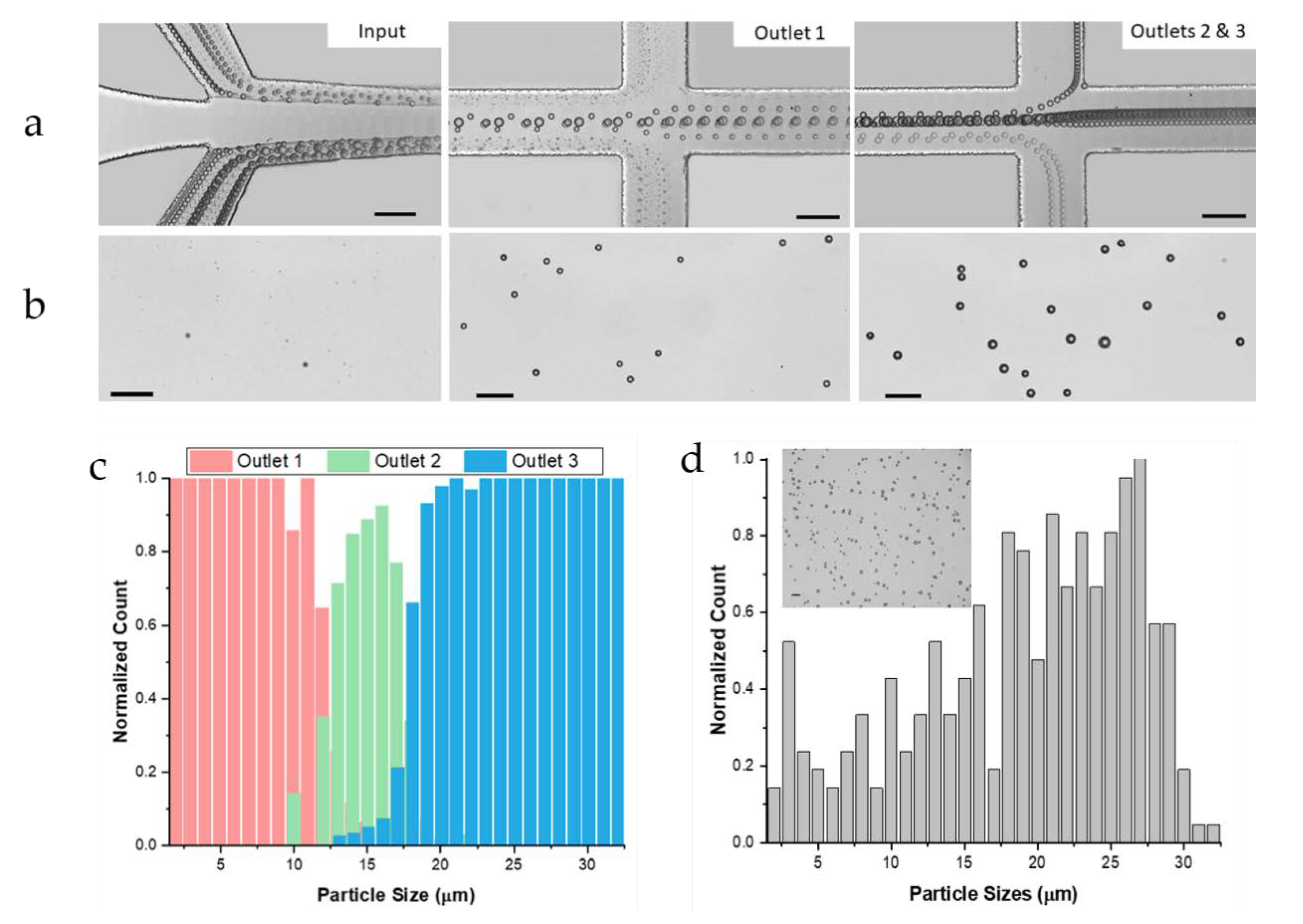 Micromachines 11 00287 g002