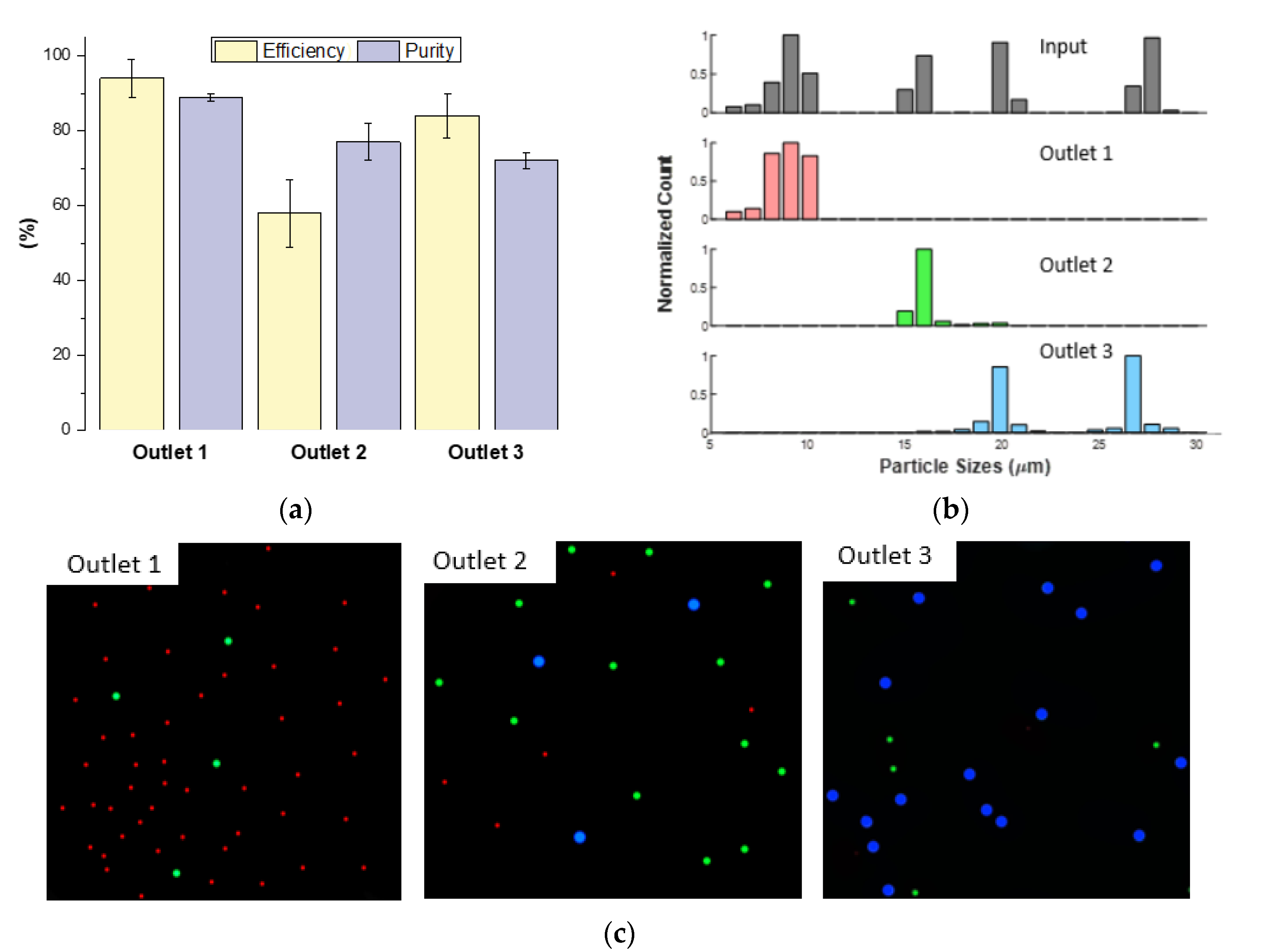 Micromachines 11 00287 g007