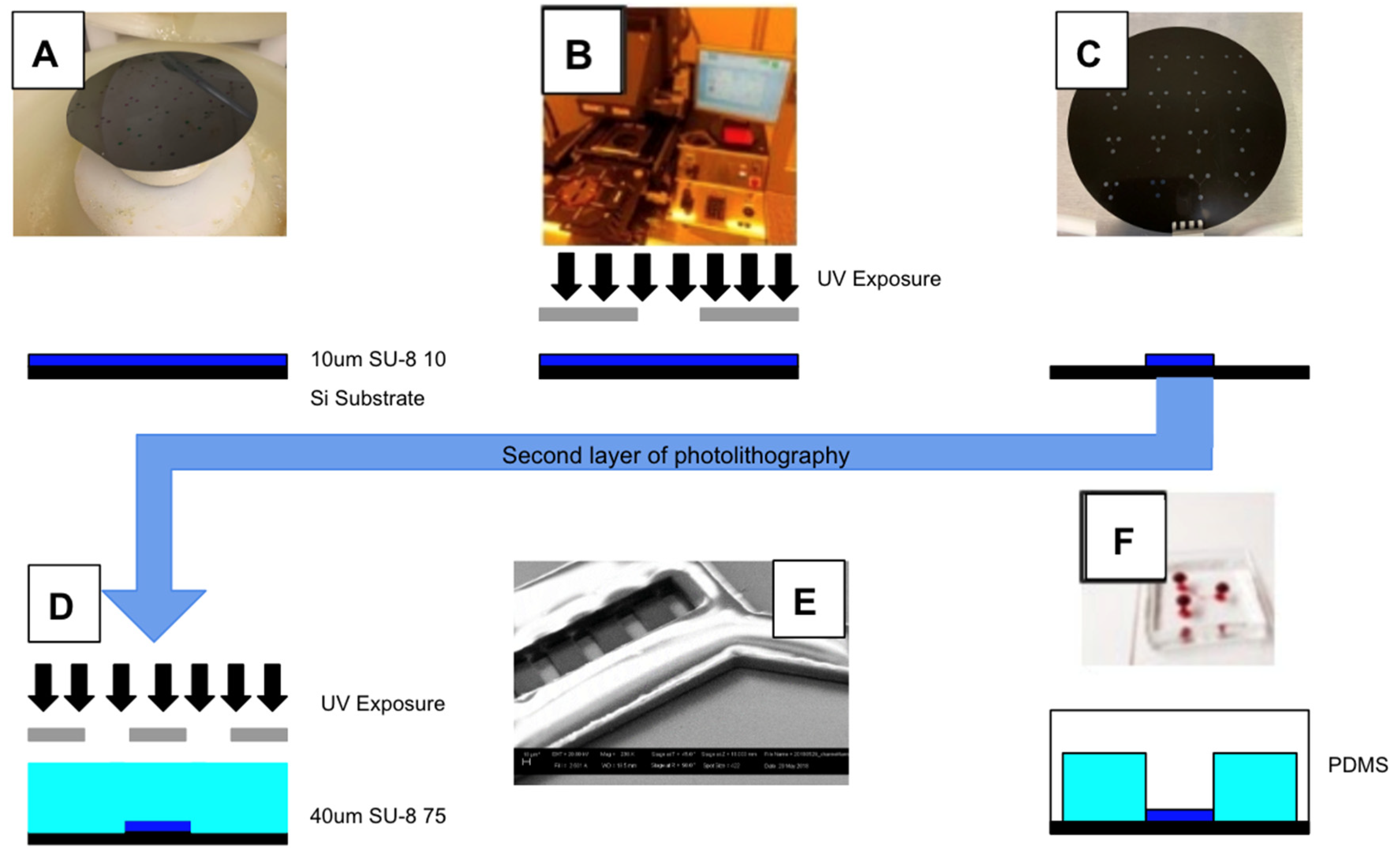 Micromachines 11 00363 g003