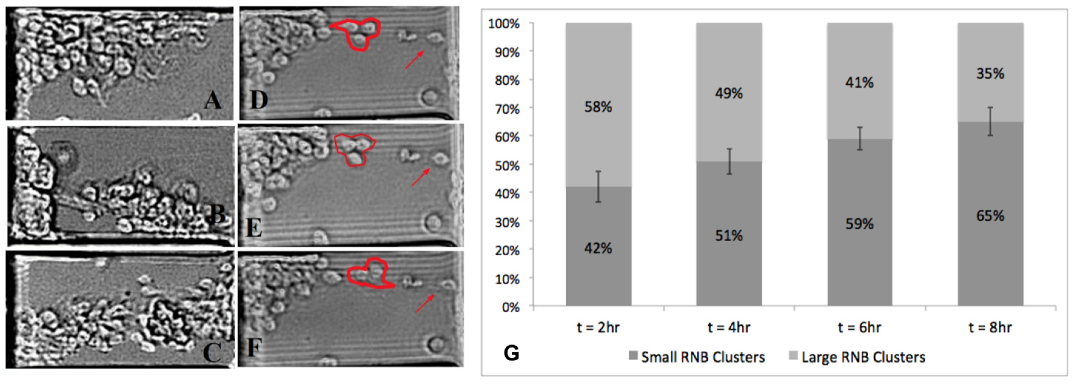 Micromachines 11 00363 g006