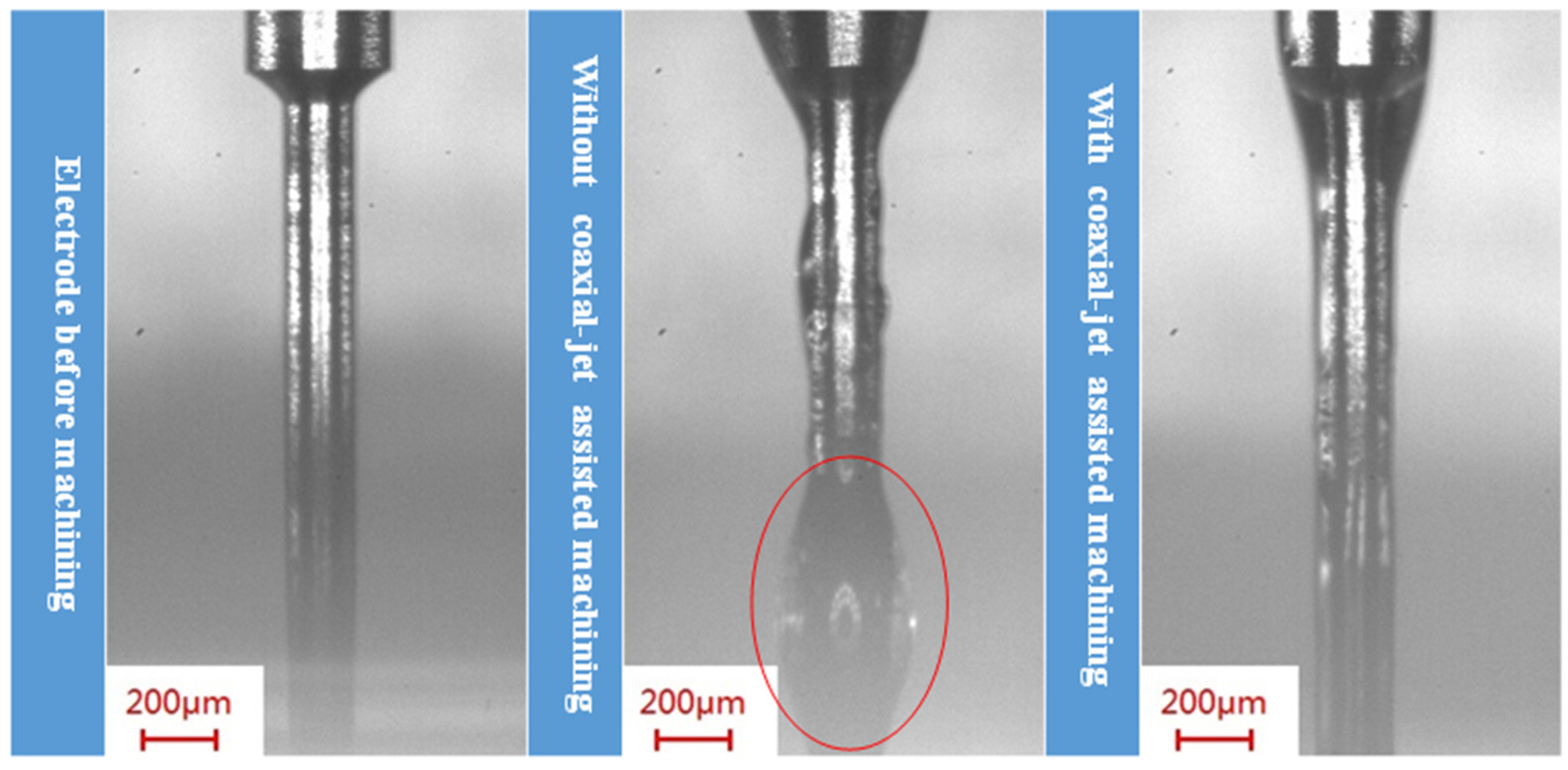 Micromachines 11 00377 g010