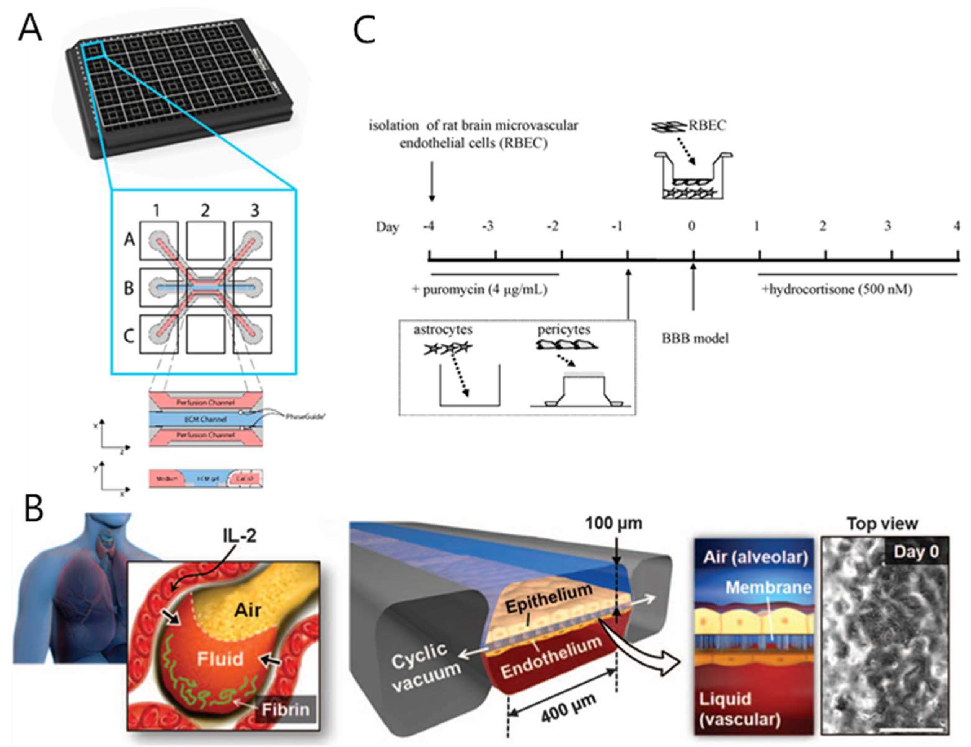 Micromachines 11 00381 g005 Micromachines 11 00381 g005