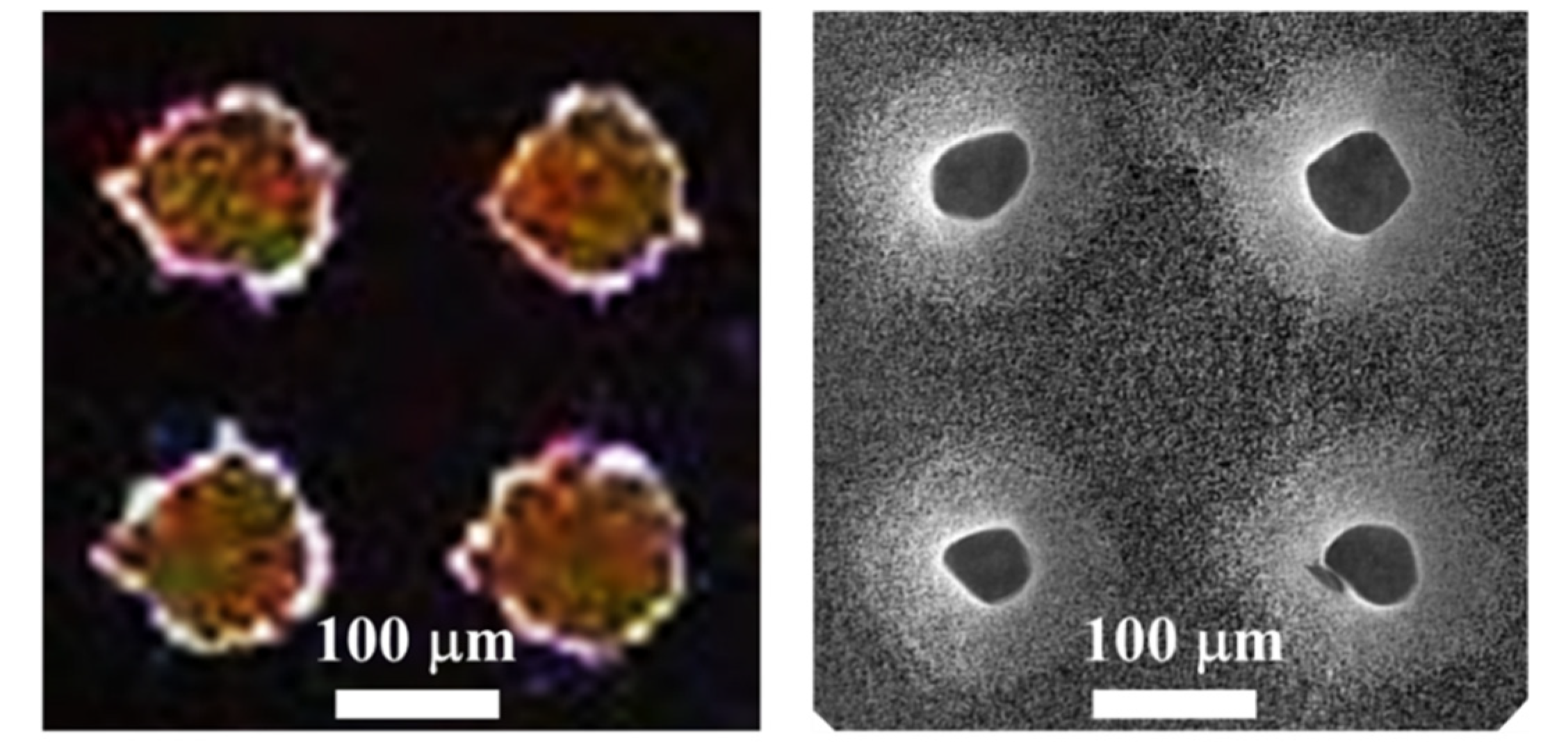 Micromachines 11 00402 g006 Micromachines 11 00402 g006