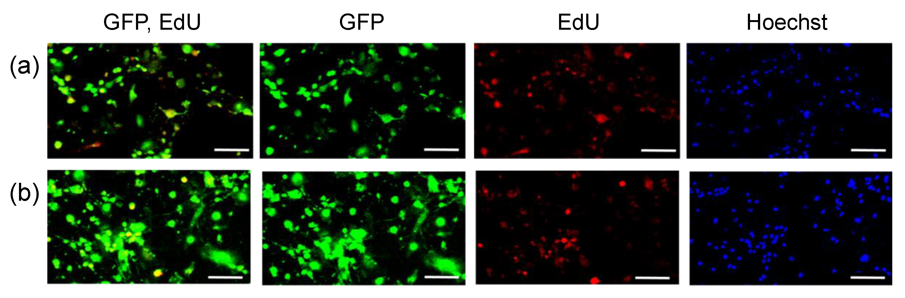Micromachines 11 00426 g003