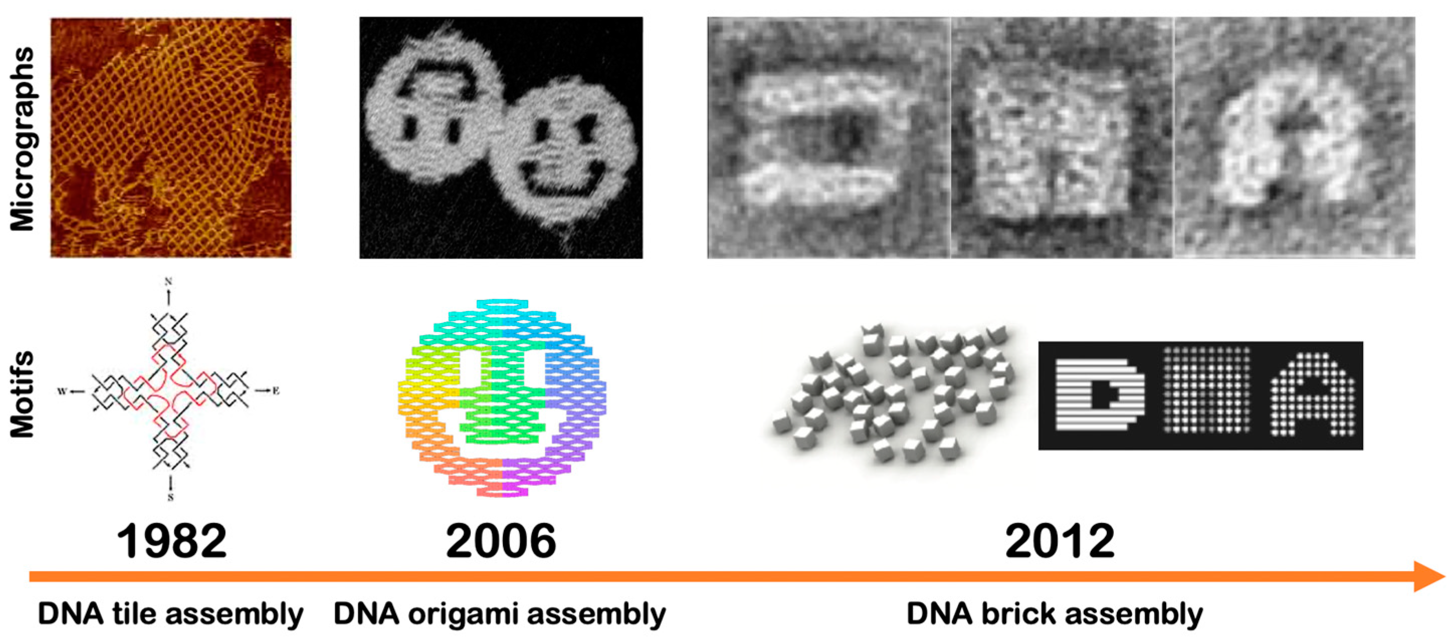 Micromachines 11 00445 g004