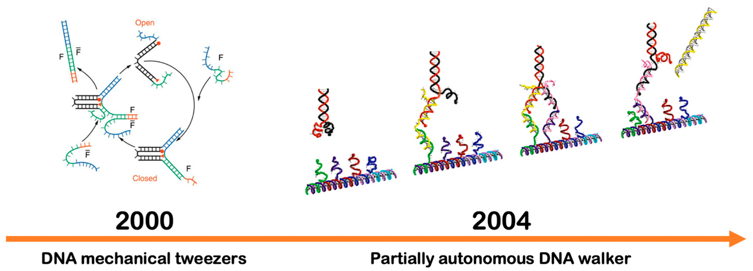 Micromachines 11 00445 g005