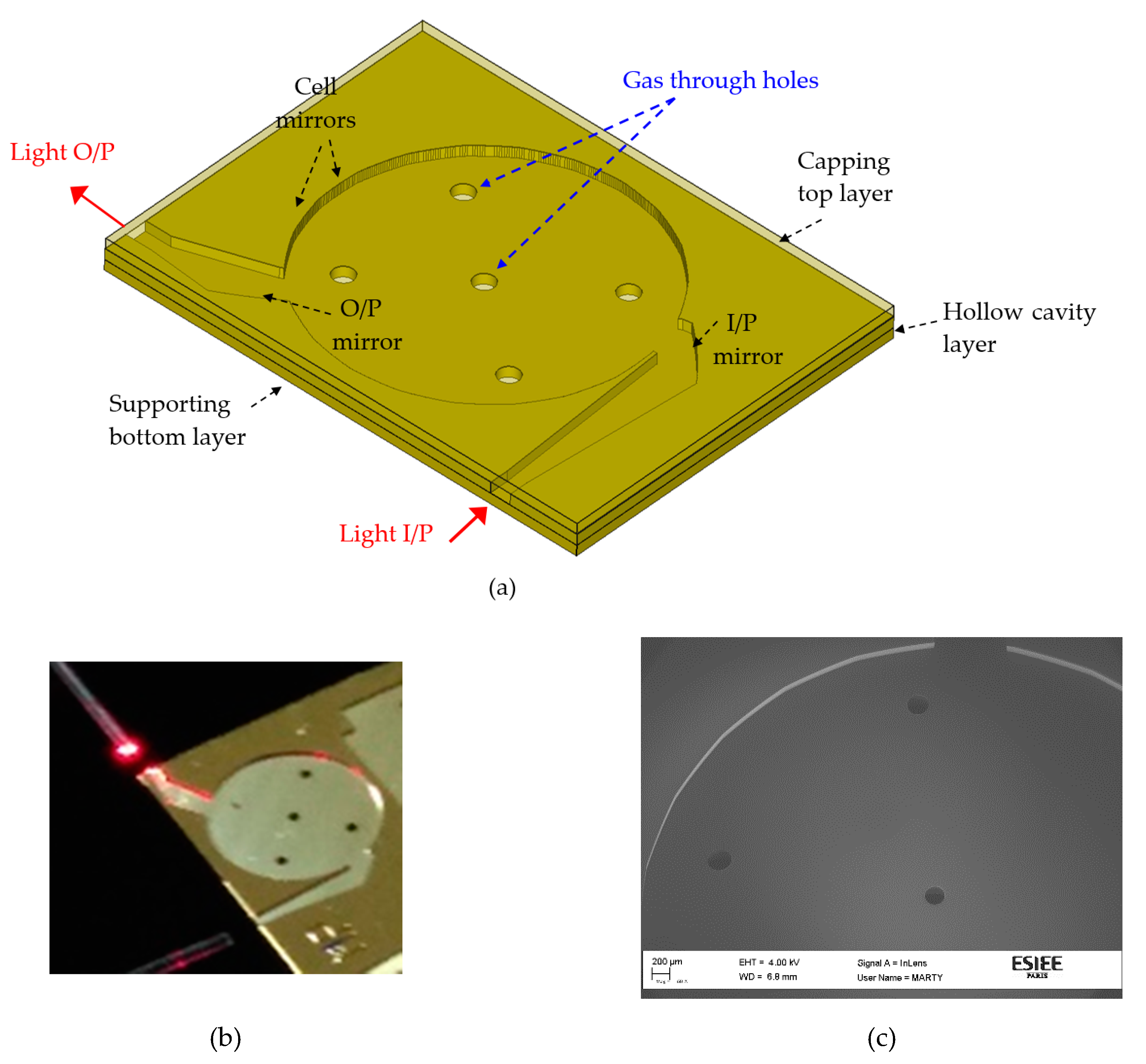 Micromachines 11 00463 g002