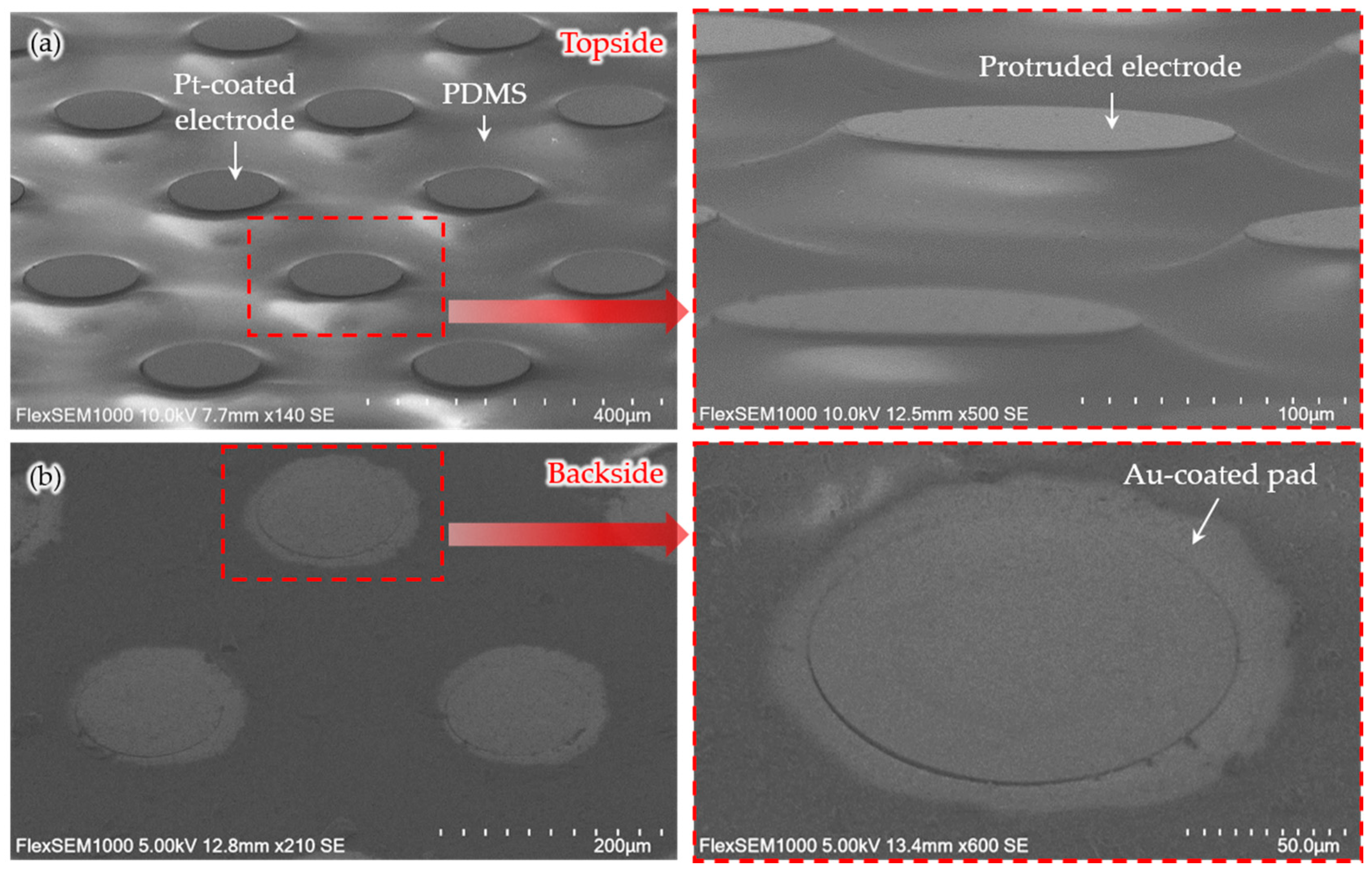 Micromachines 11 00467 g005