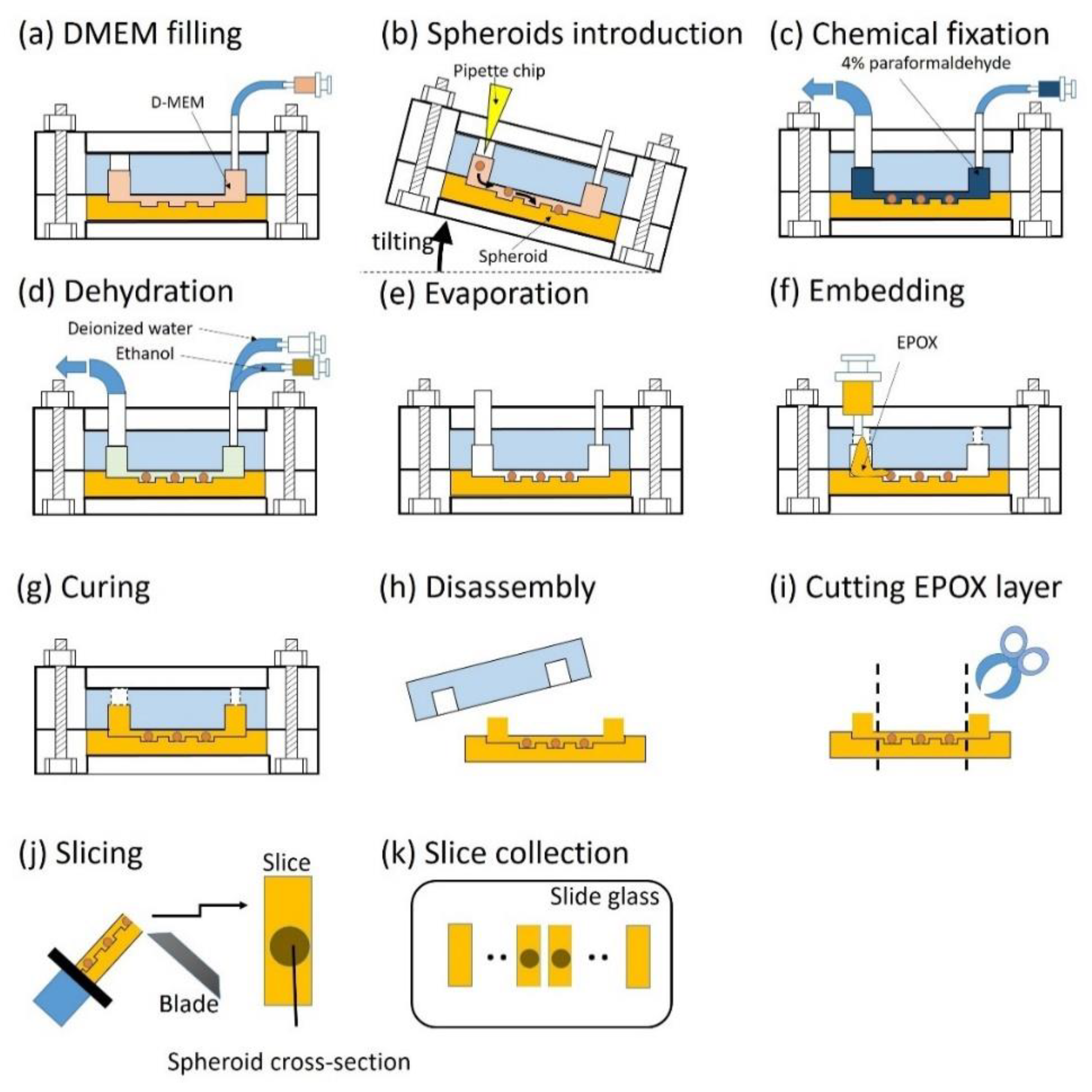 Micromachines 11 00480 g002