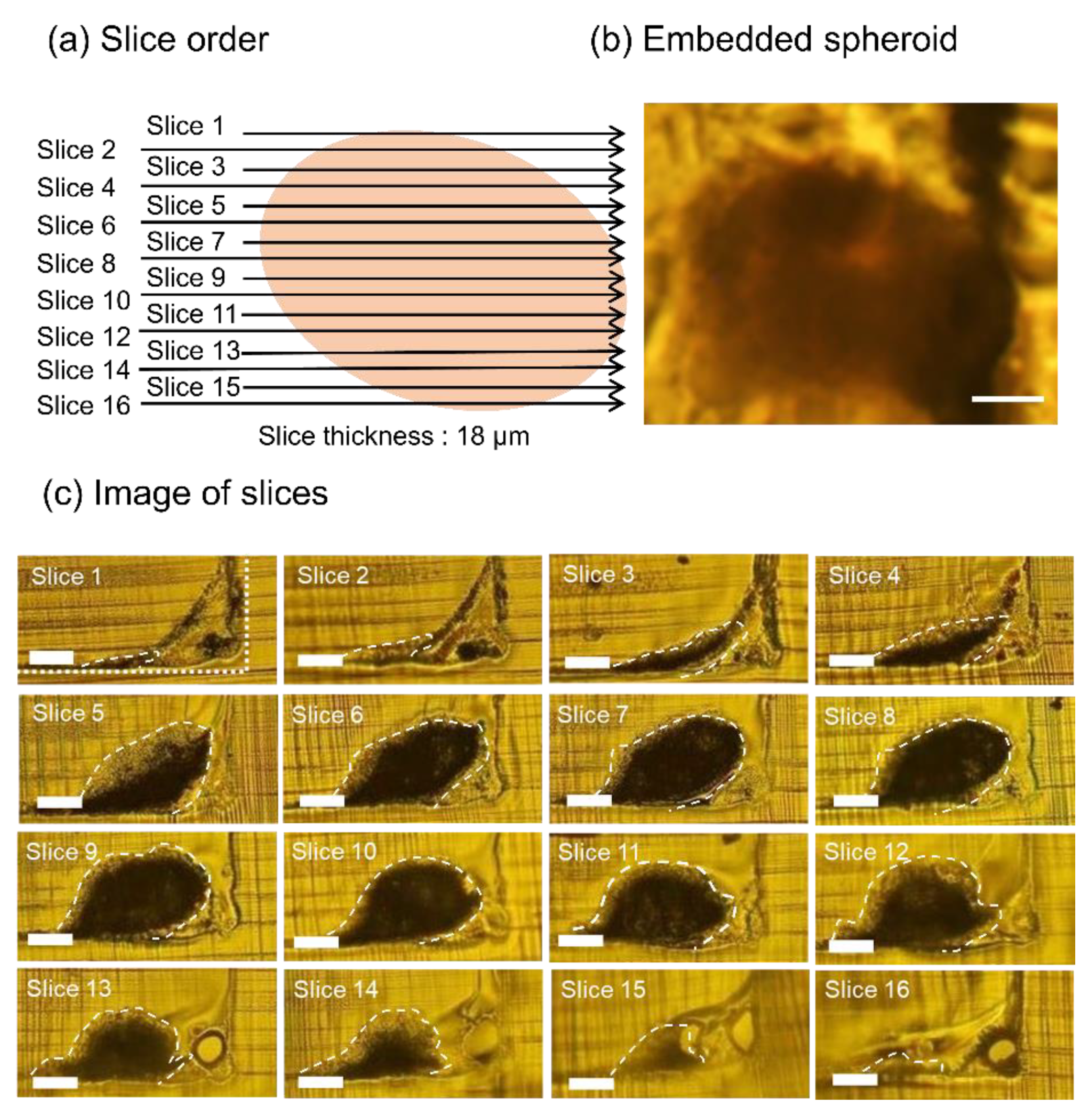 Micromachines 11 00480 g003