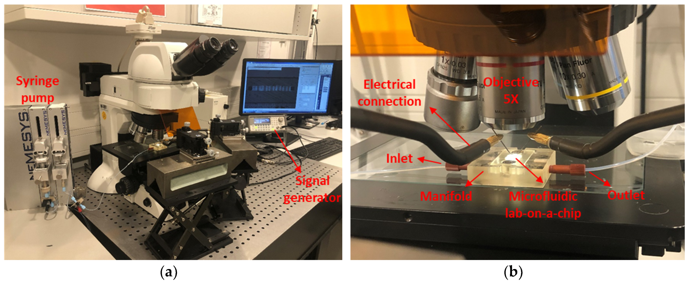 Micromachines 11 00501 g004