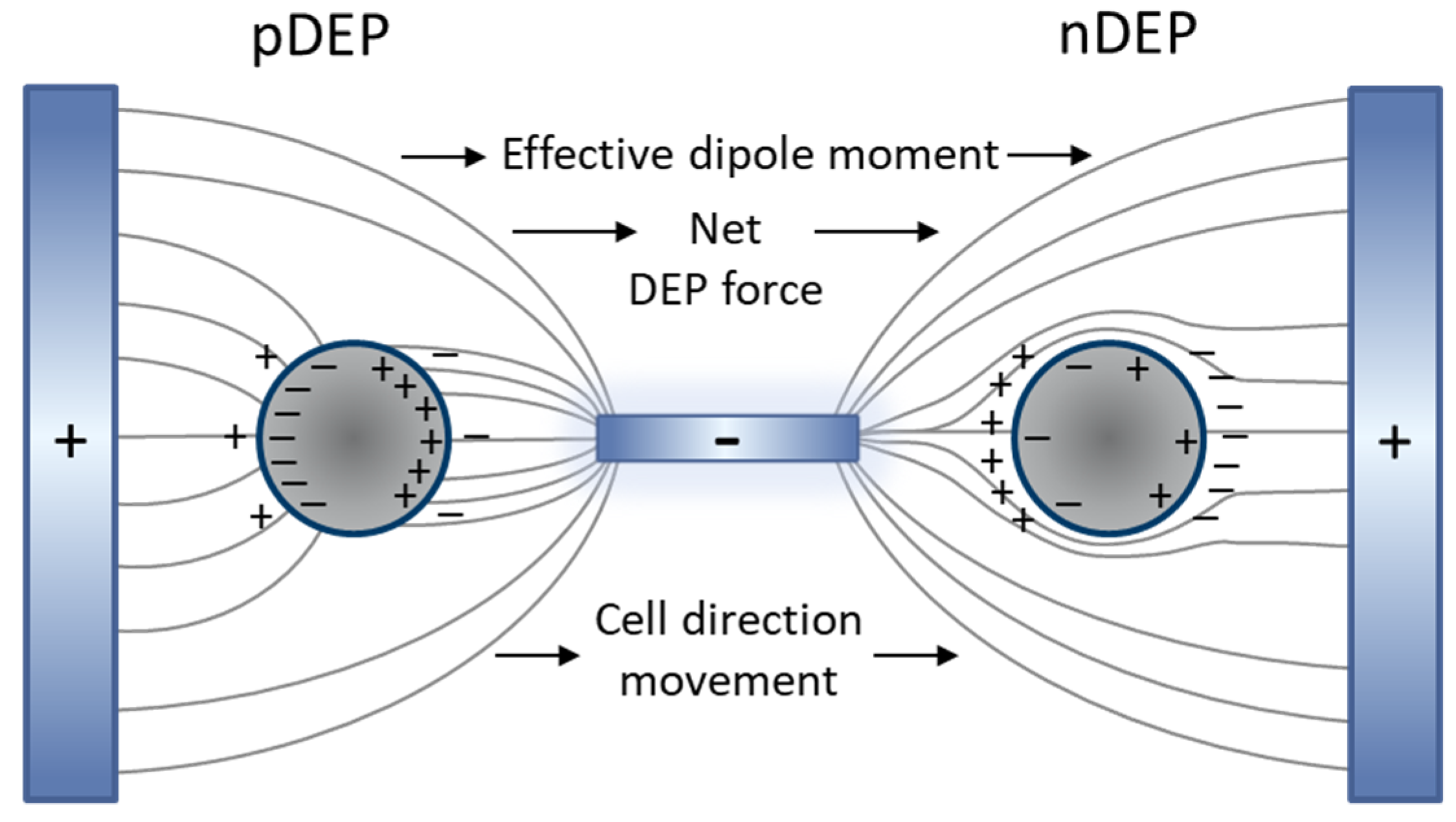 Micromachines 11 00501 g006