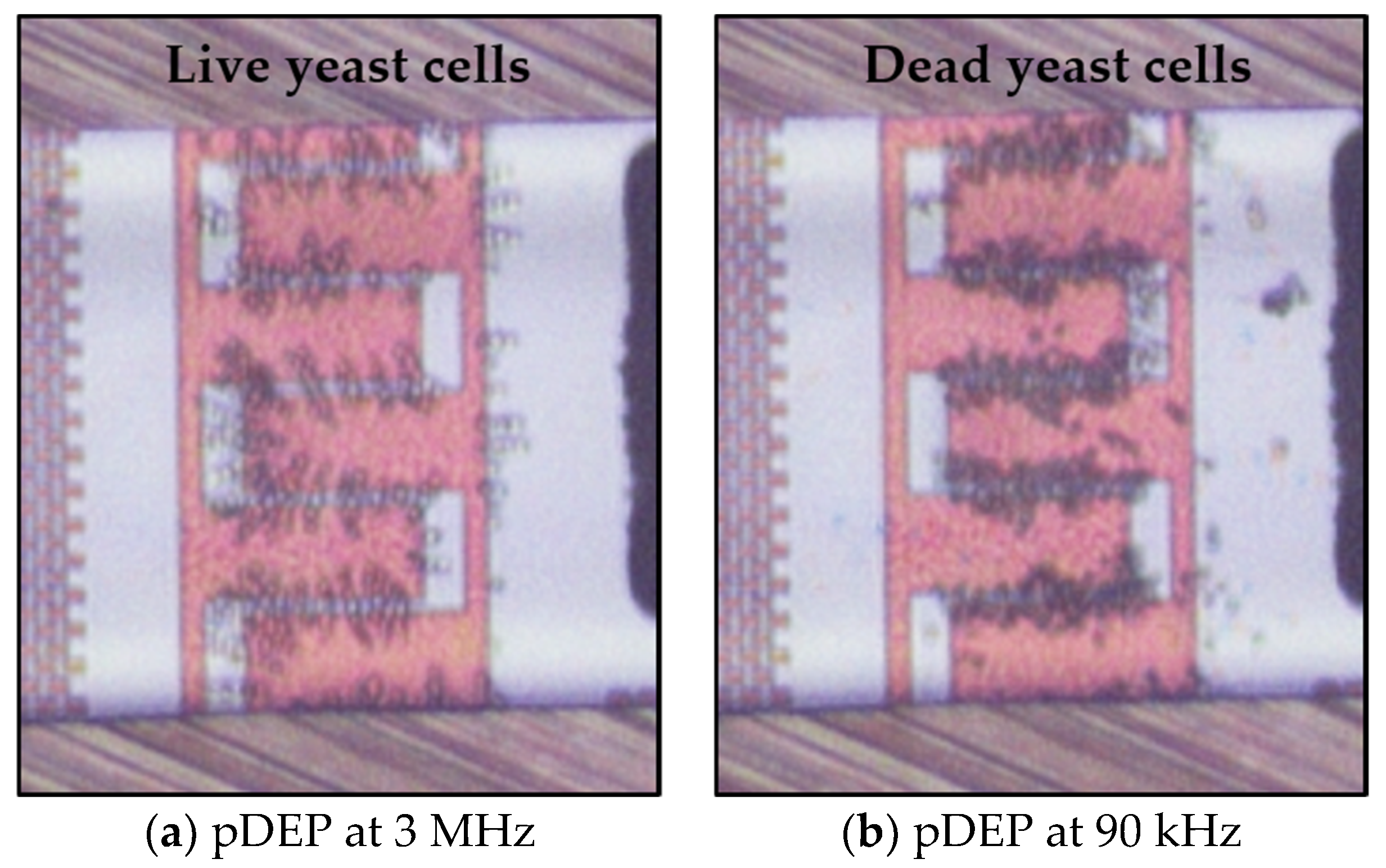 Micromachines 11 00501 g014