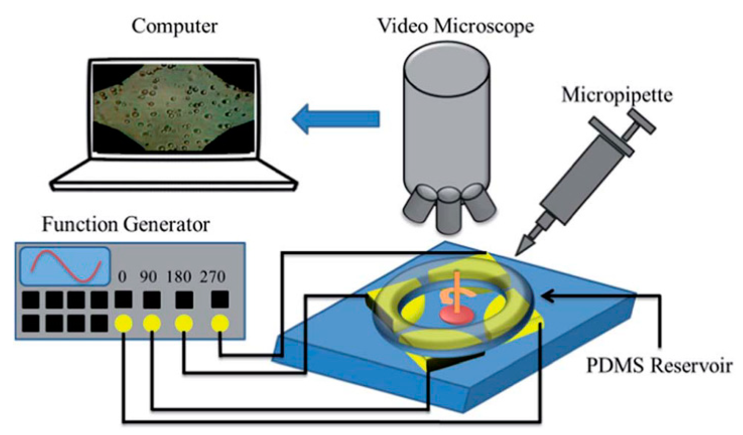 Micromachines | Free Full-Text | Determination of Dielectric