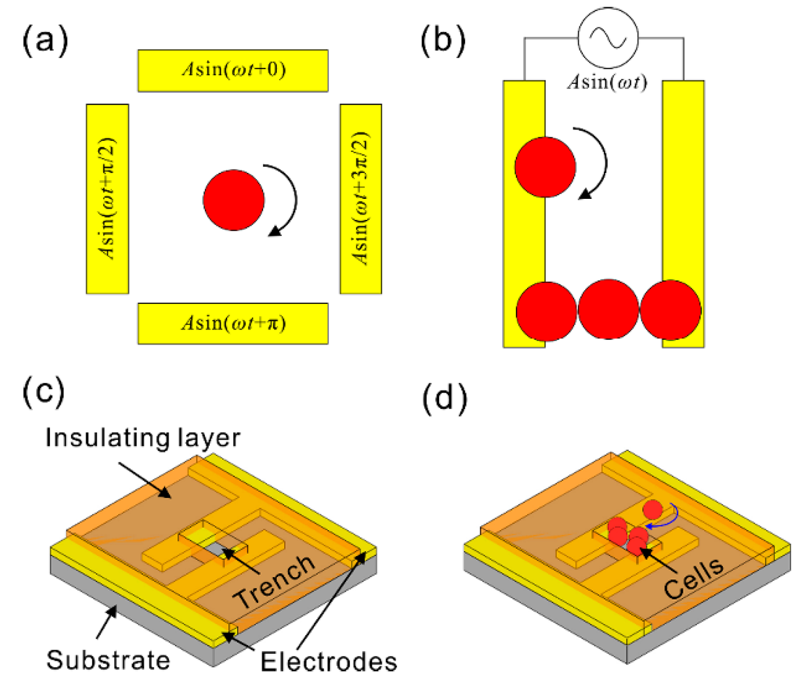 Micromachines 11 00513 g005