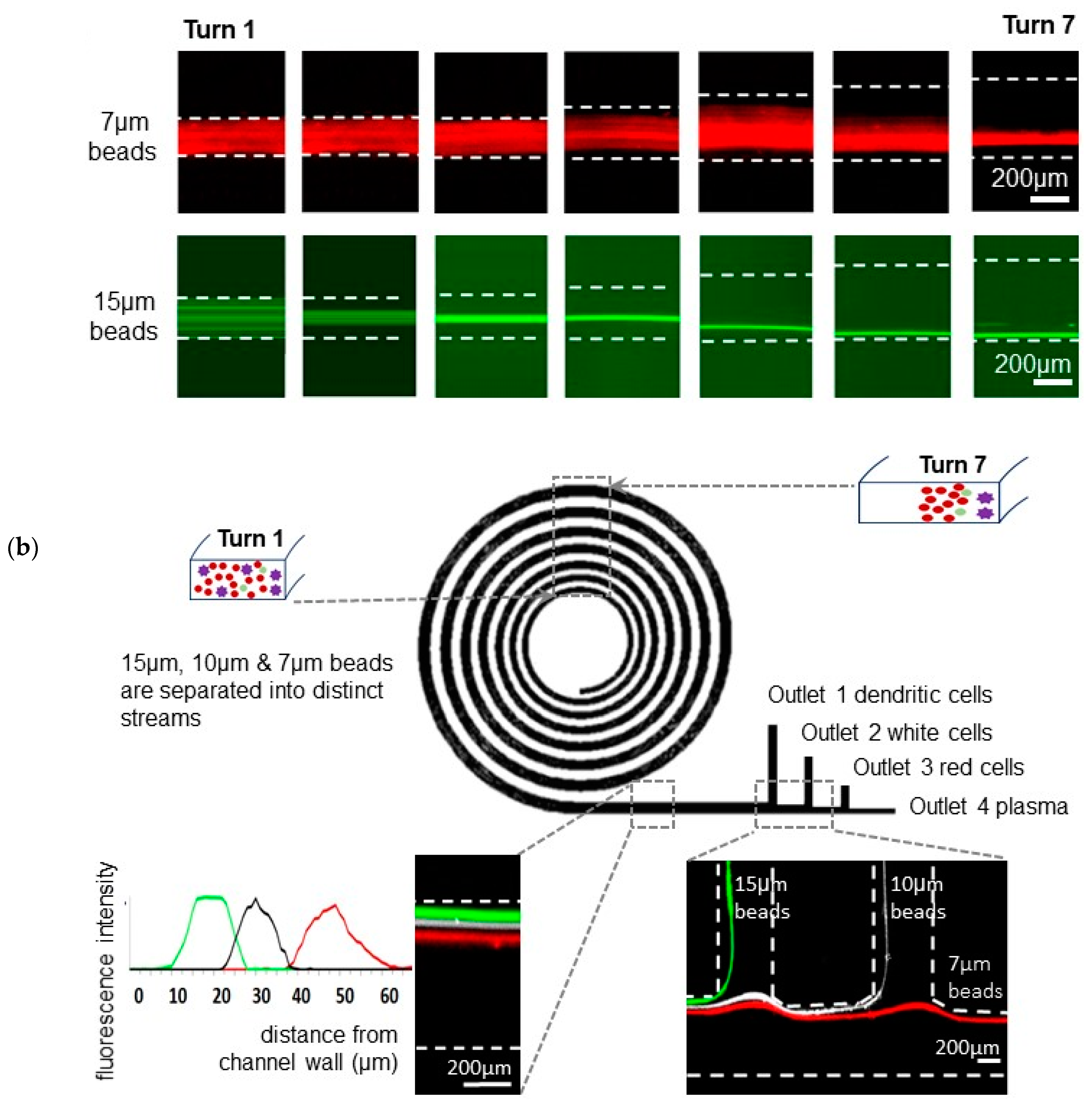 Micromachines 11 00514 g001b