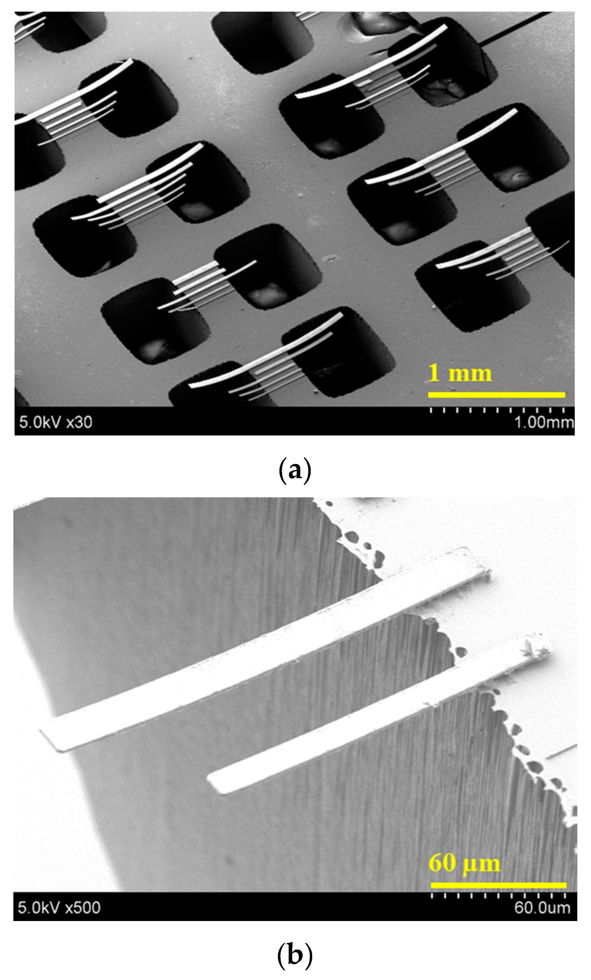 Micromachines 11 00523 g007